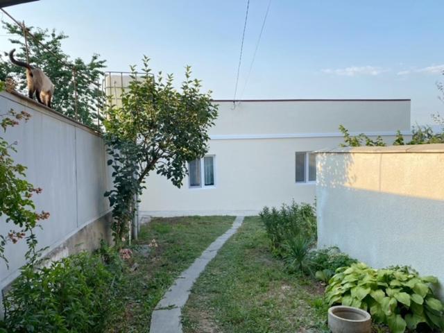 Country House Tabakhmela