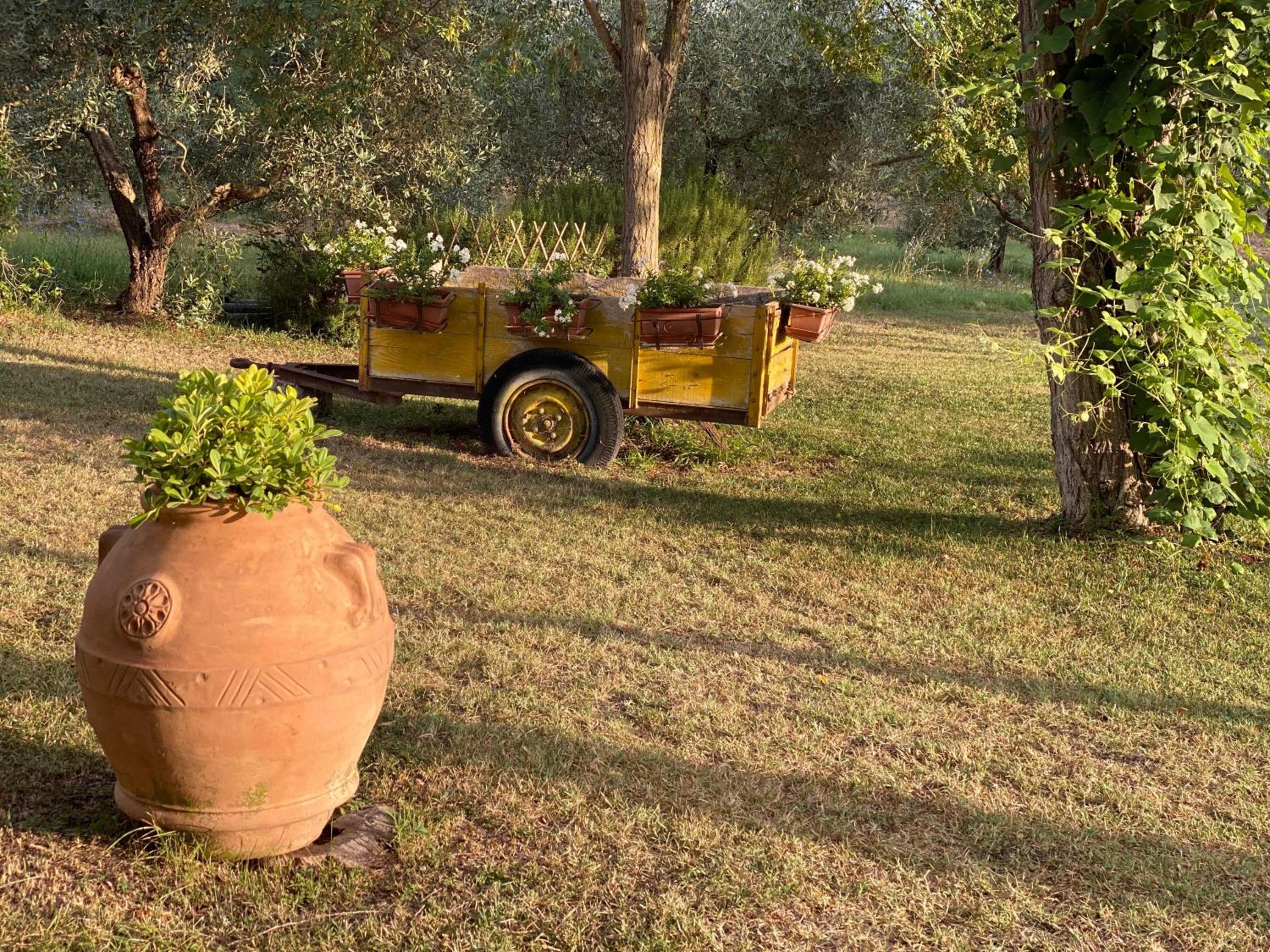 Il Girasole Terzuolo