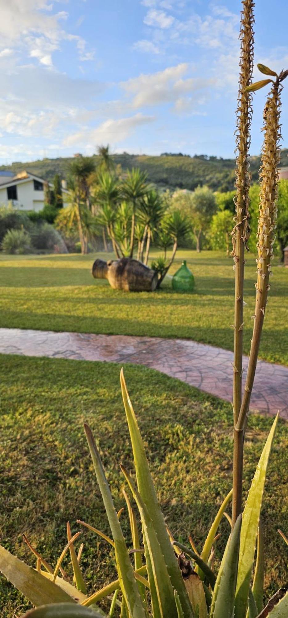 Villa Daniela Suites