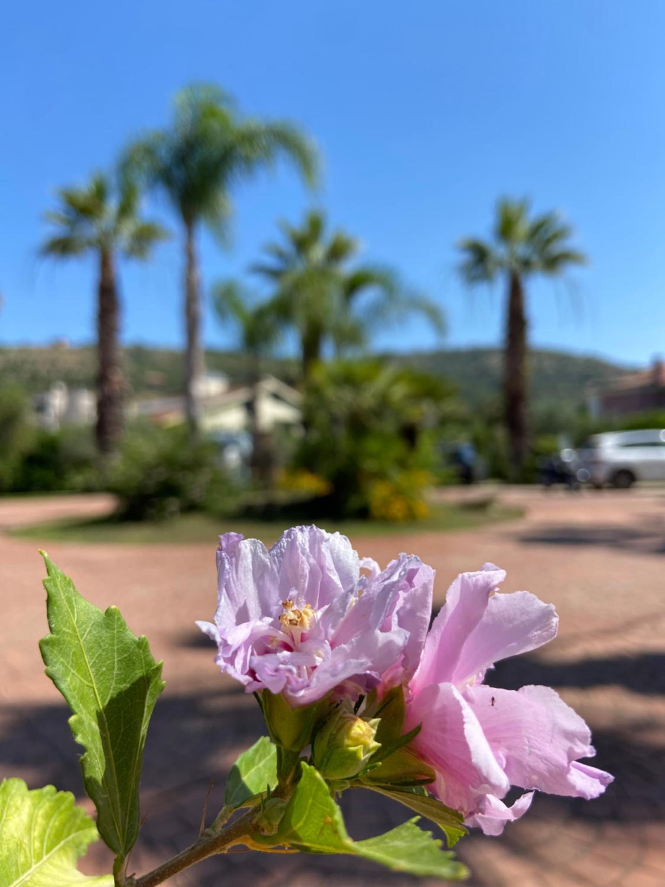 Villa Daniela Suites