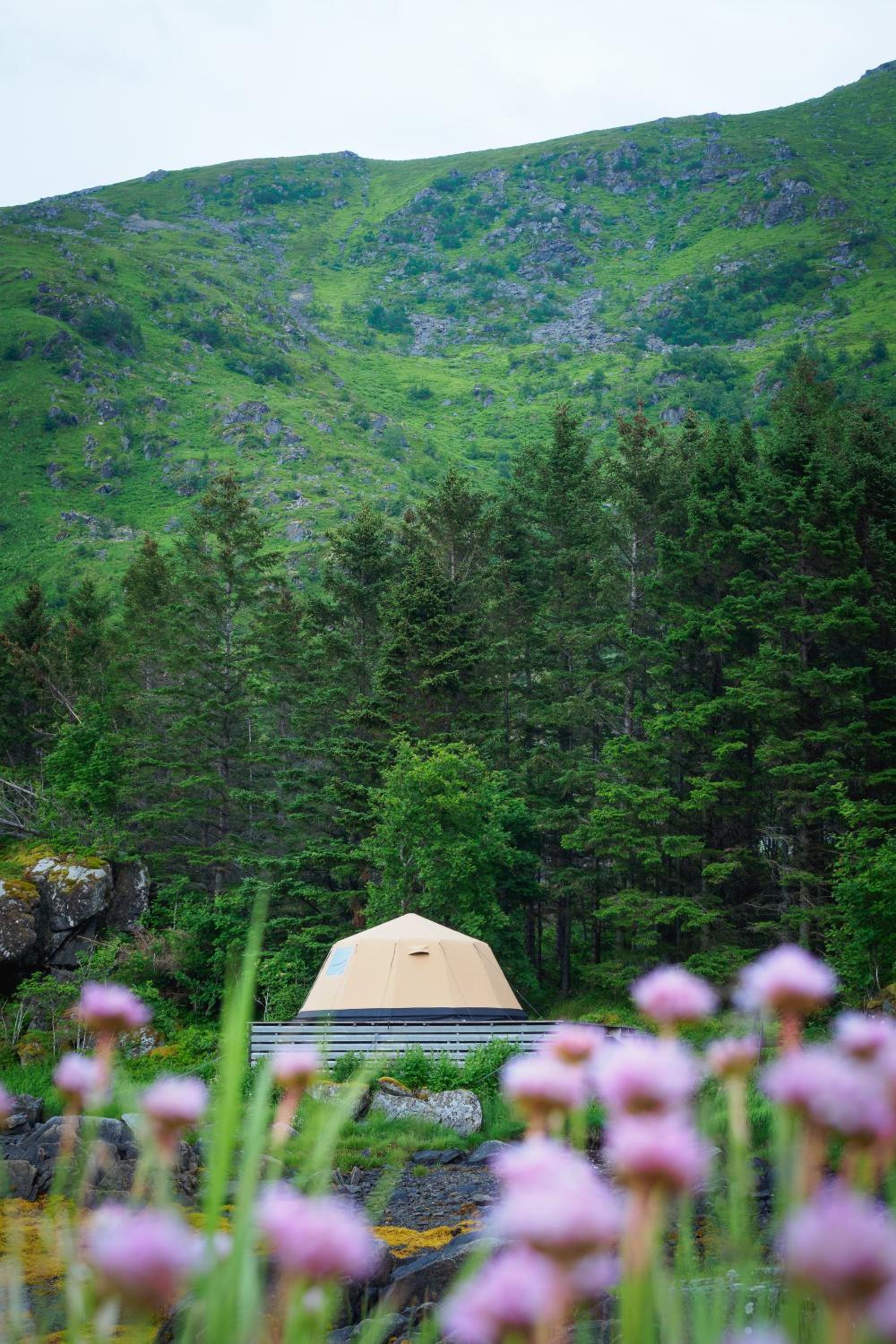 FLO Lofoten nature escape view 3