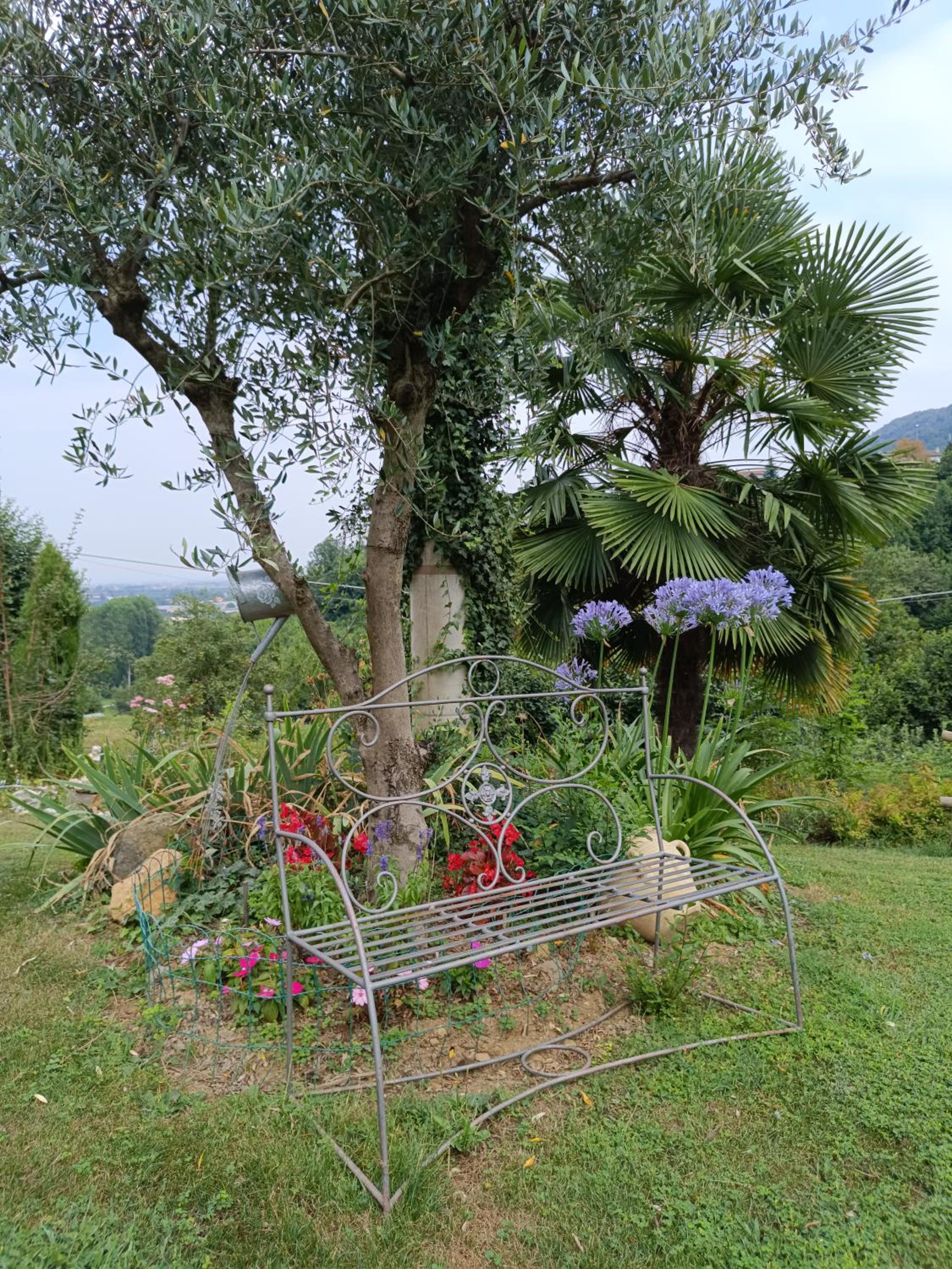 Alloggio Albaluna