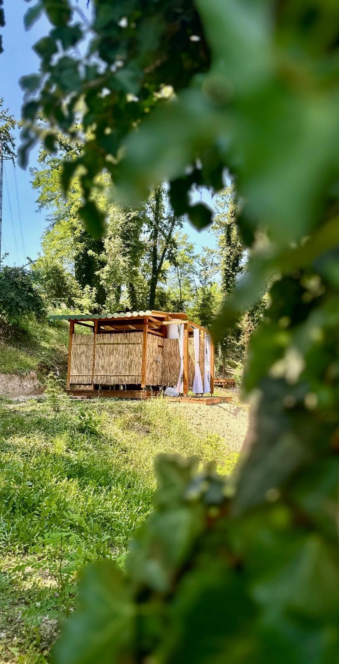 Zeta River Glamping view 3