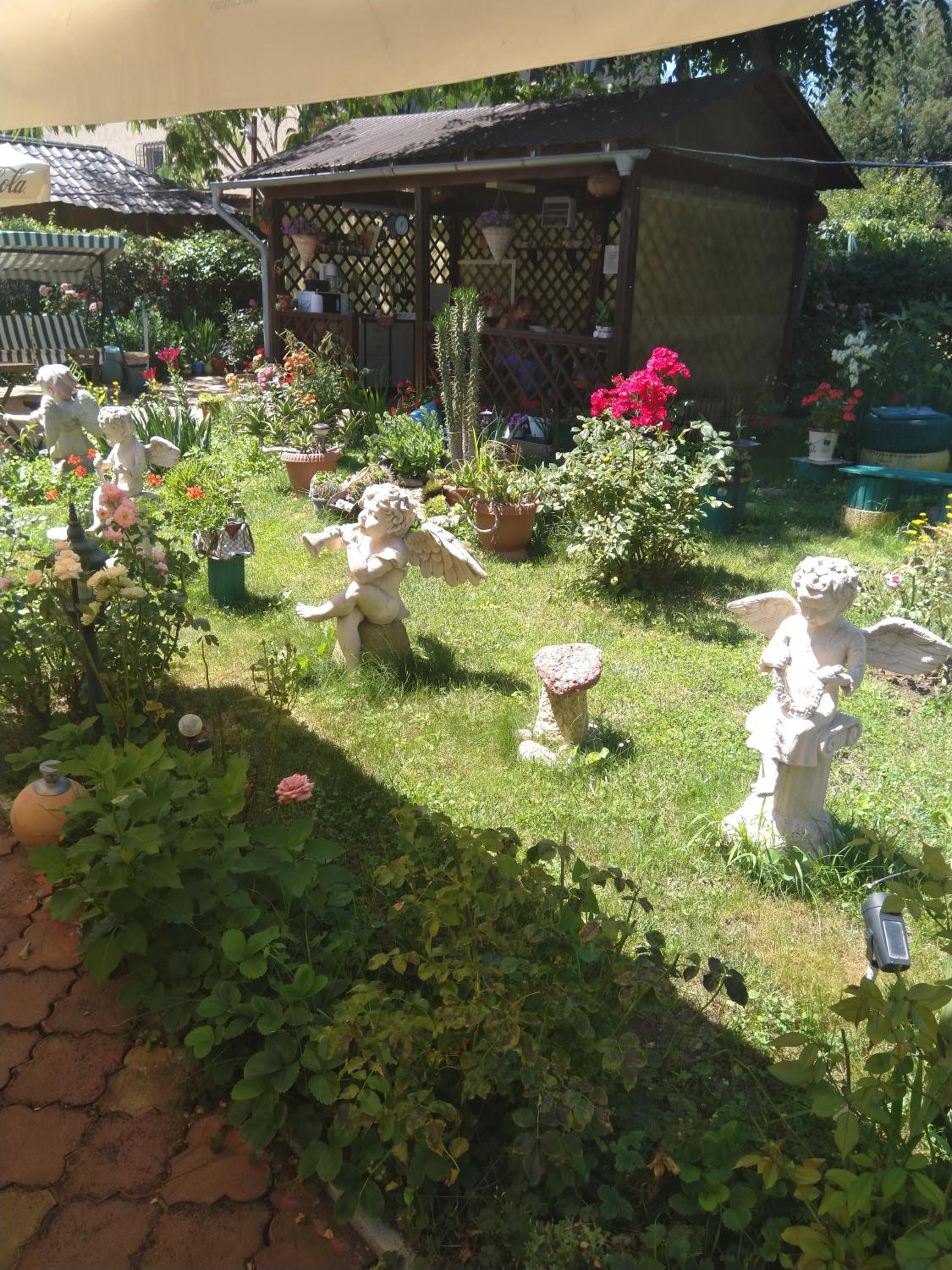 Photo 11