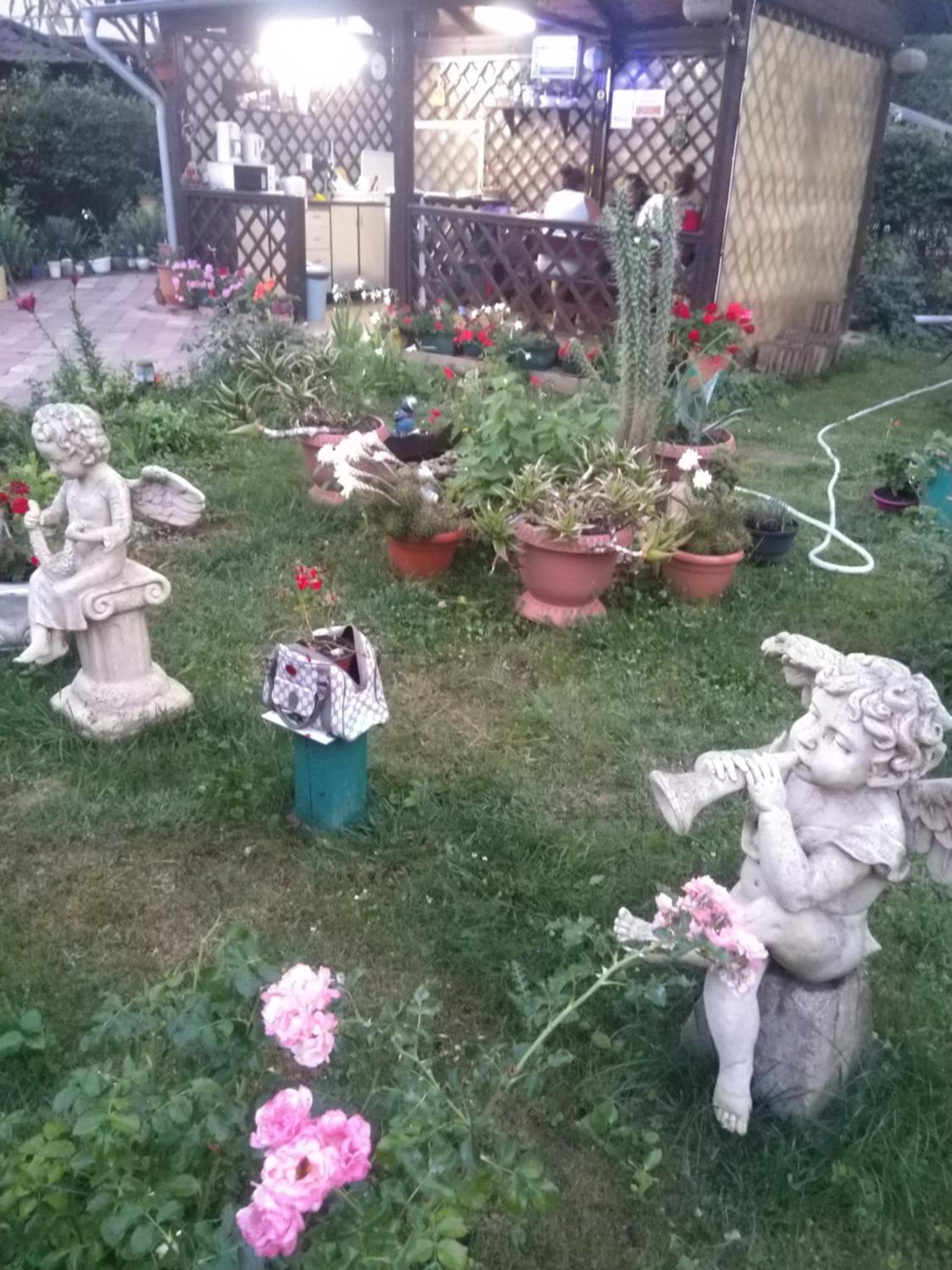 Photo 24