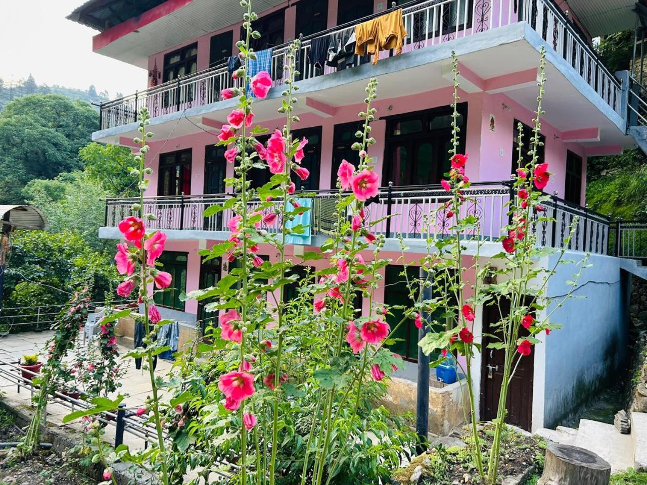 River view homestay view 2