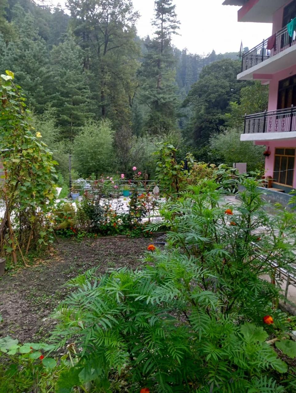 River view homestay view 4