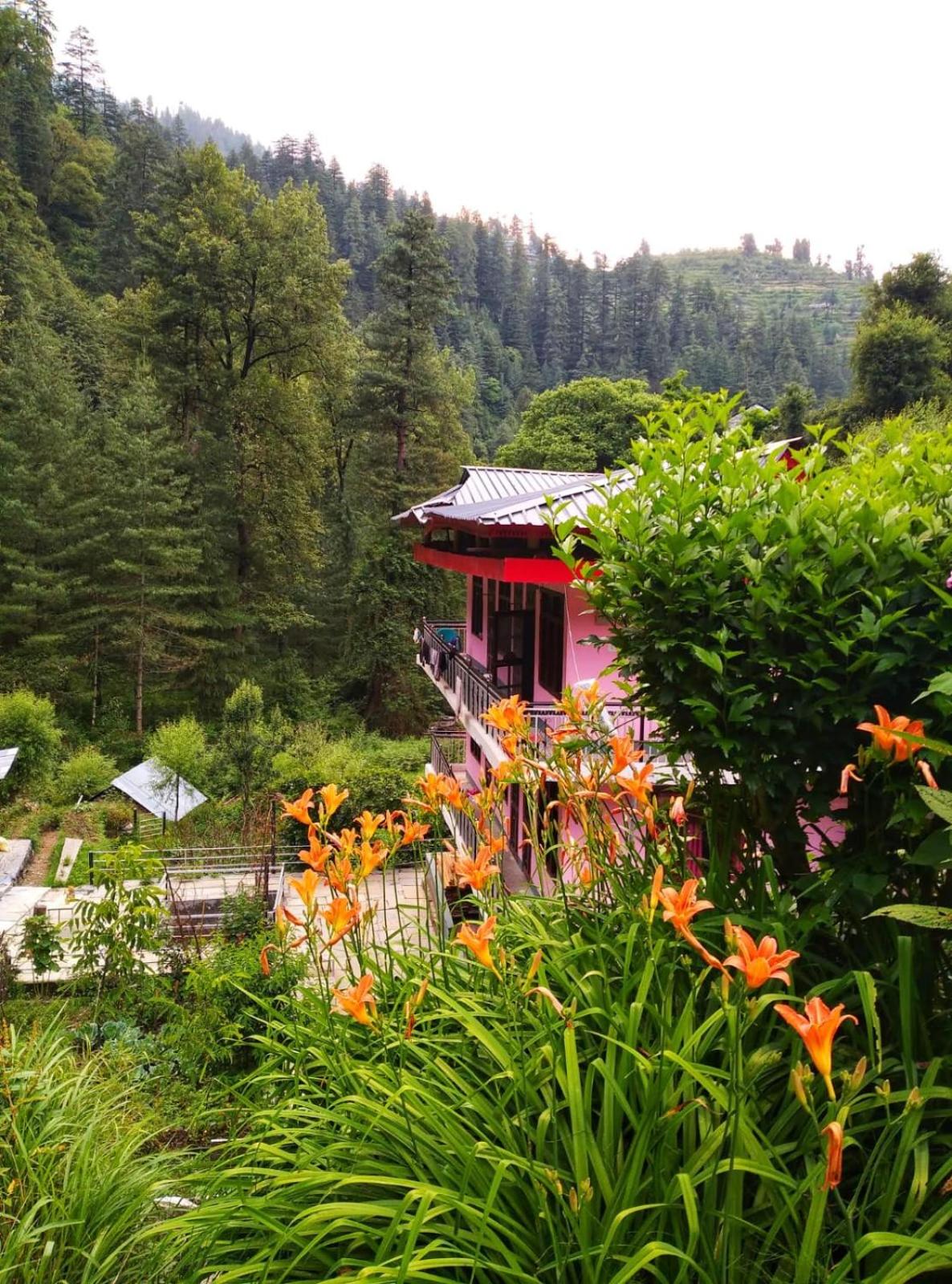 River view homestay view 5