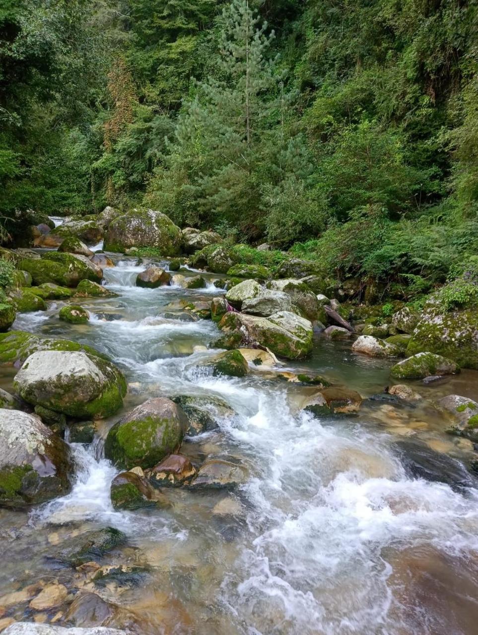 Photo 24
