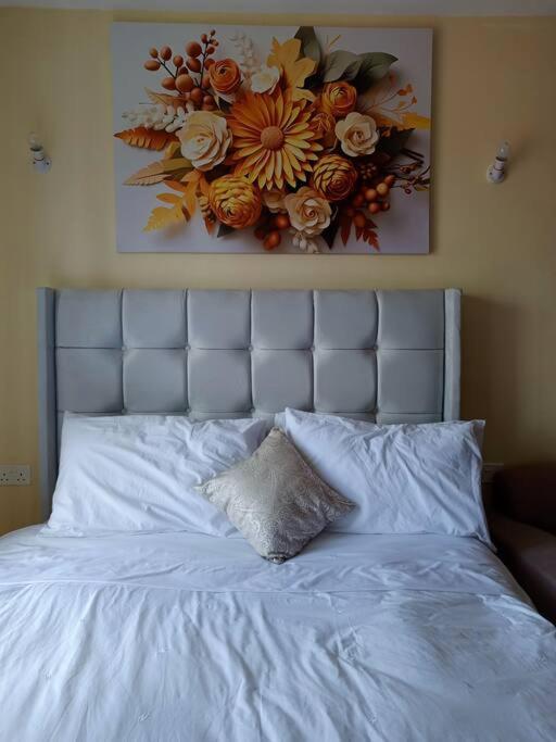 South Suites - South B Beautiful & Cozy Studio view 3