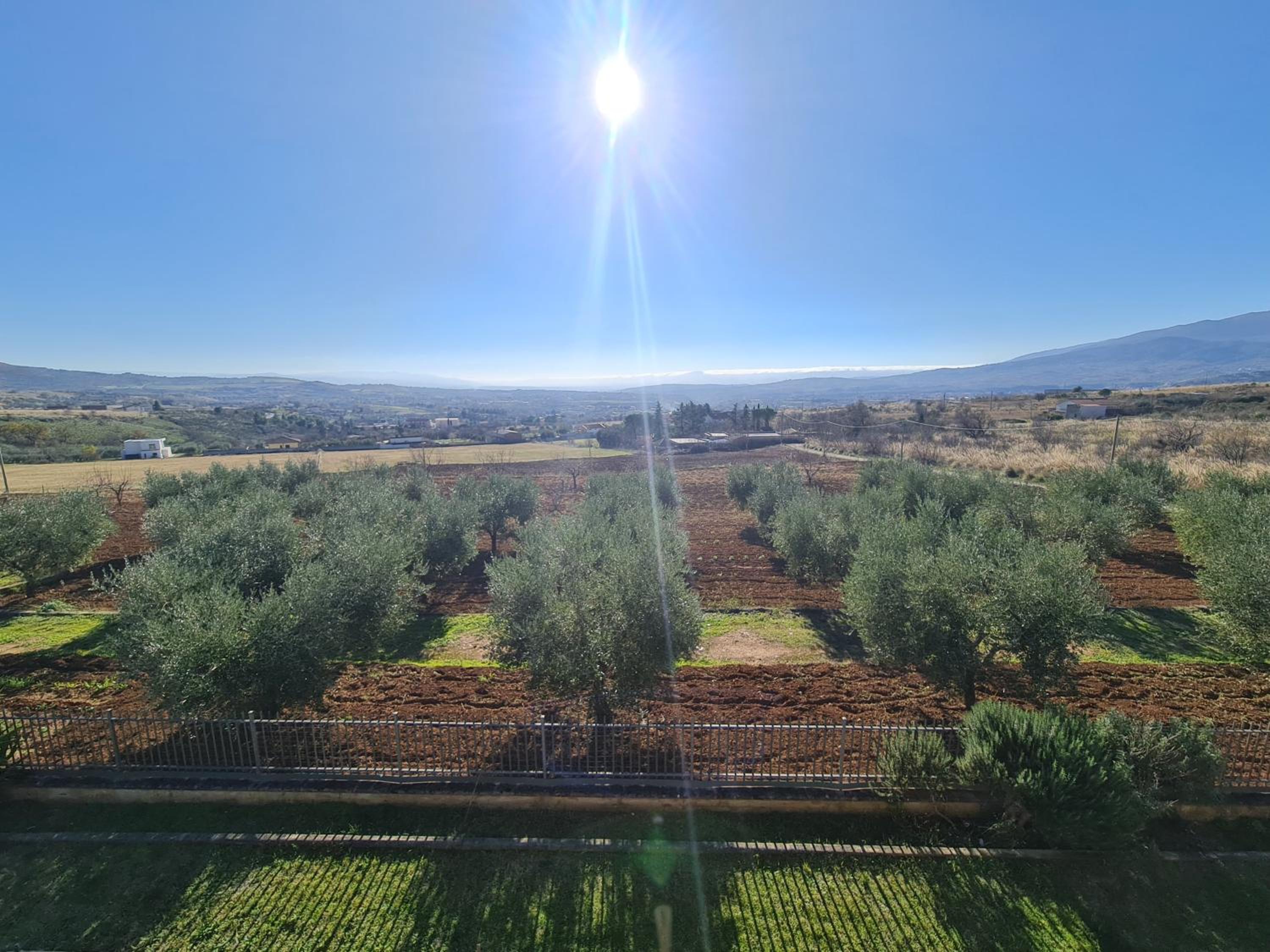 B&B La Petrosa