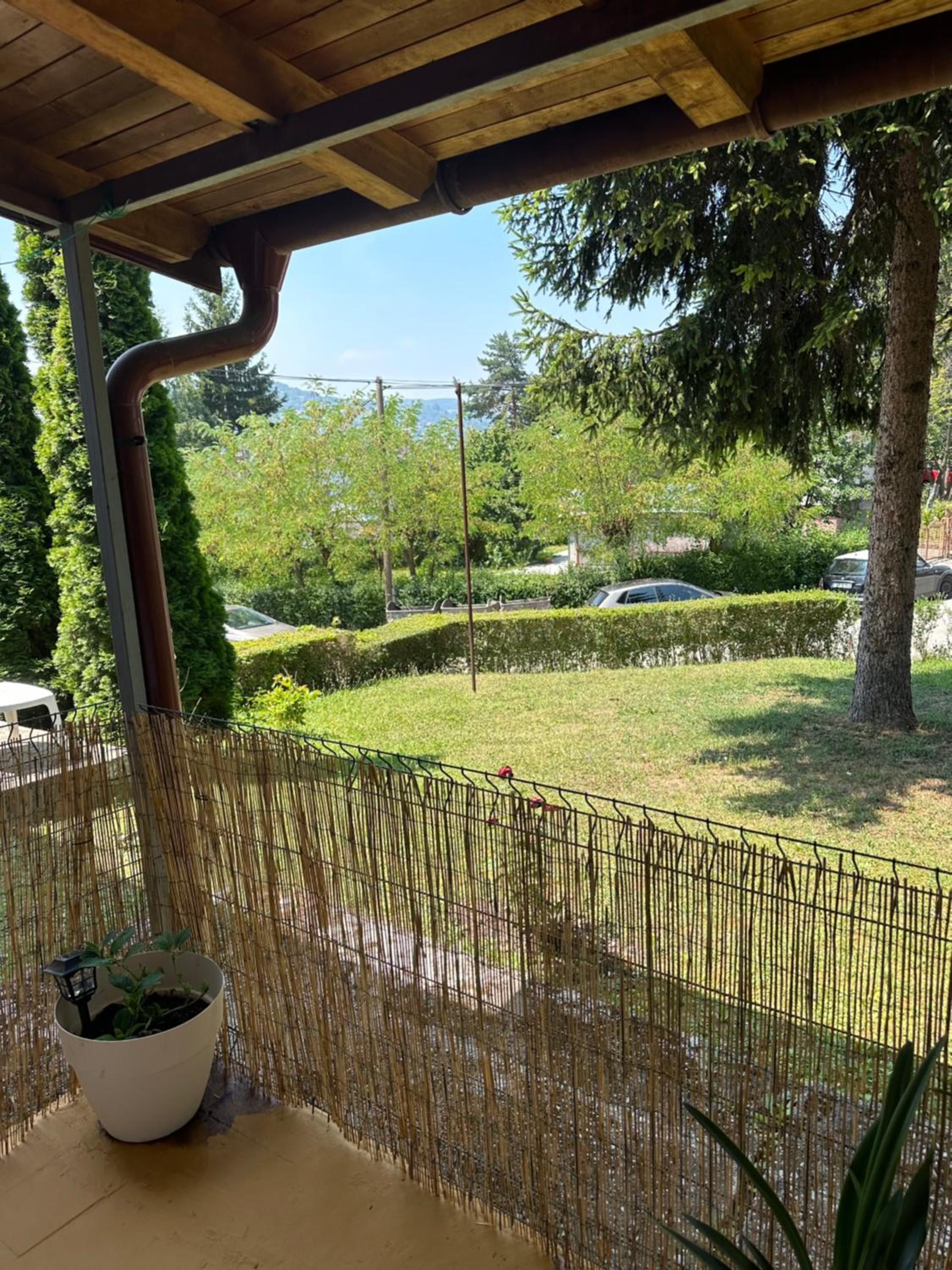 Golden Lily - Pet Friendly Apartment