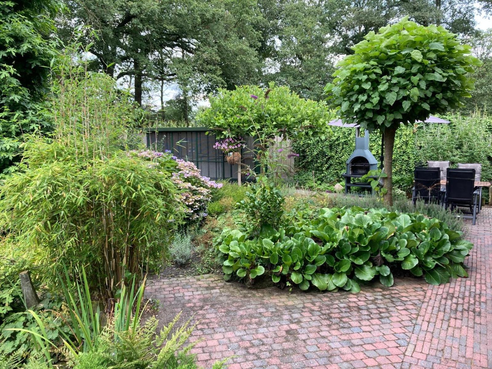 Photo 21