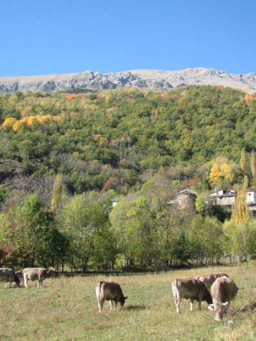 Apartamento en Villanova, Valle de Benasque