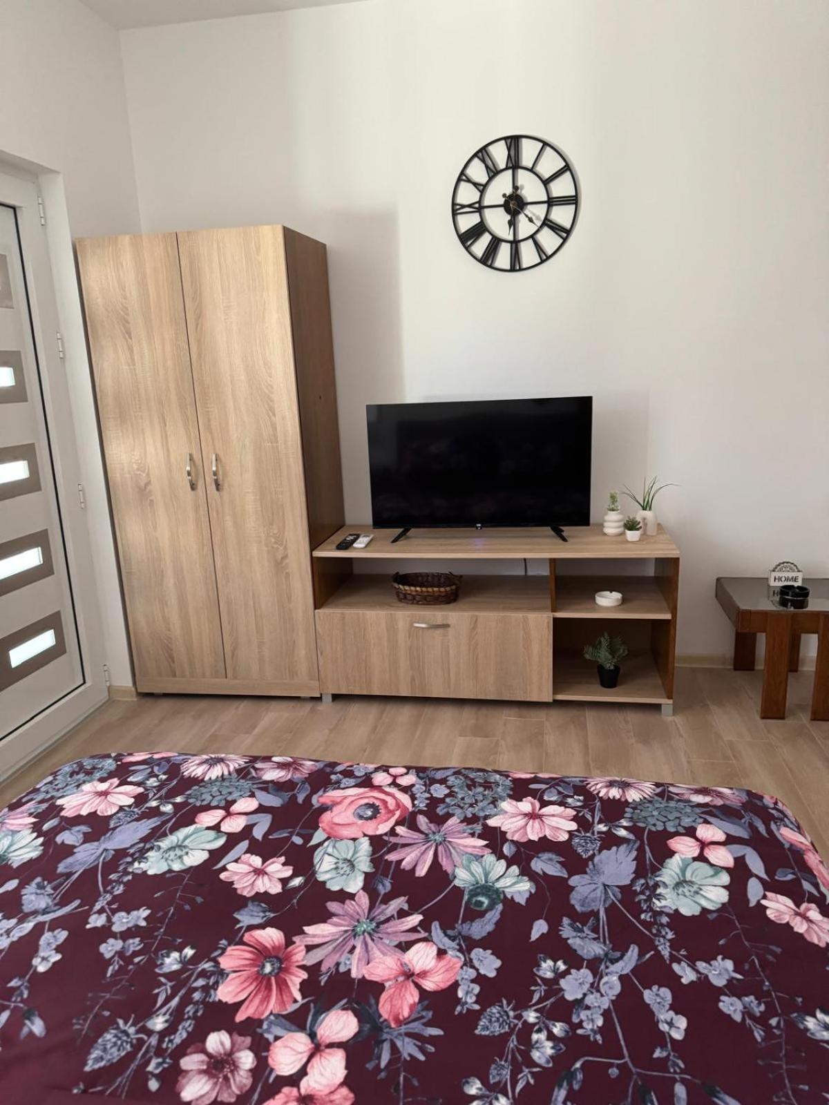 Apartman Milinkovic view 2