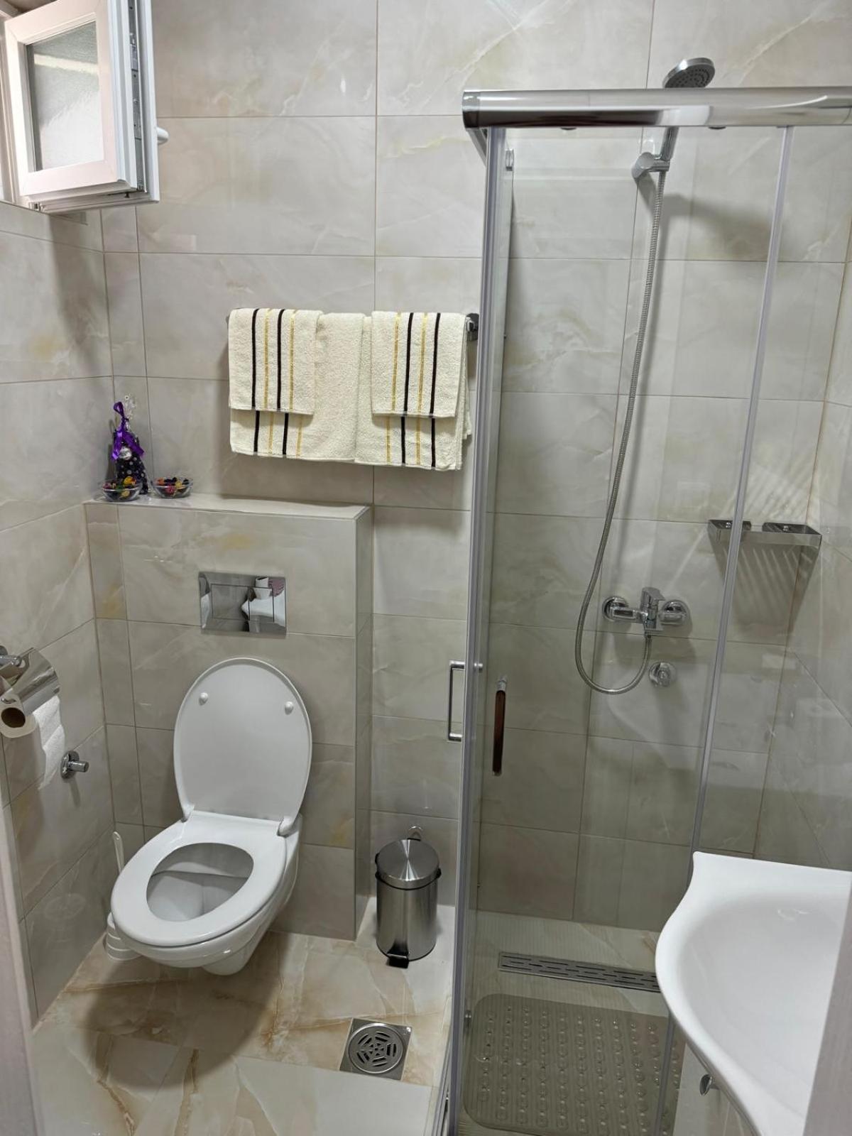 Apartman Milinkovic view 3