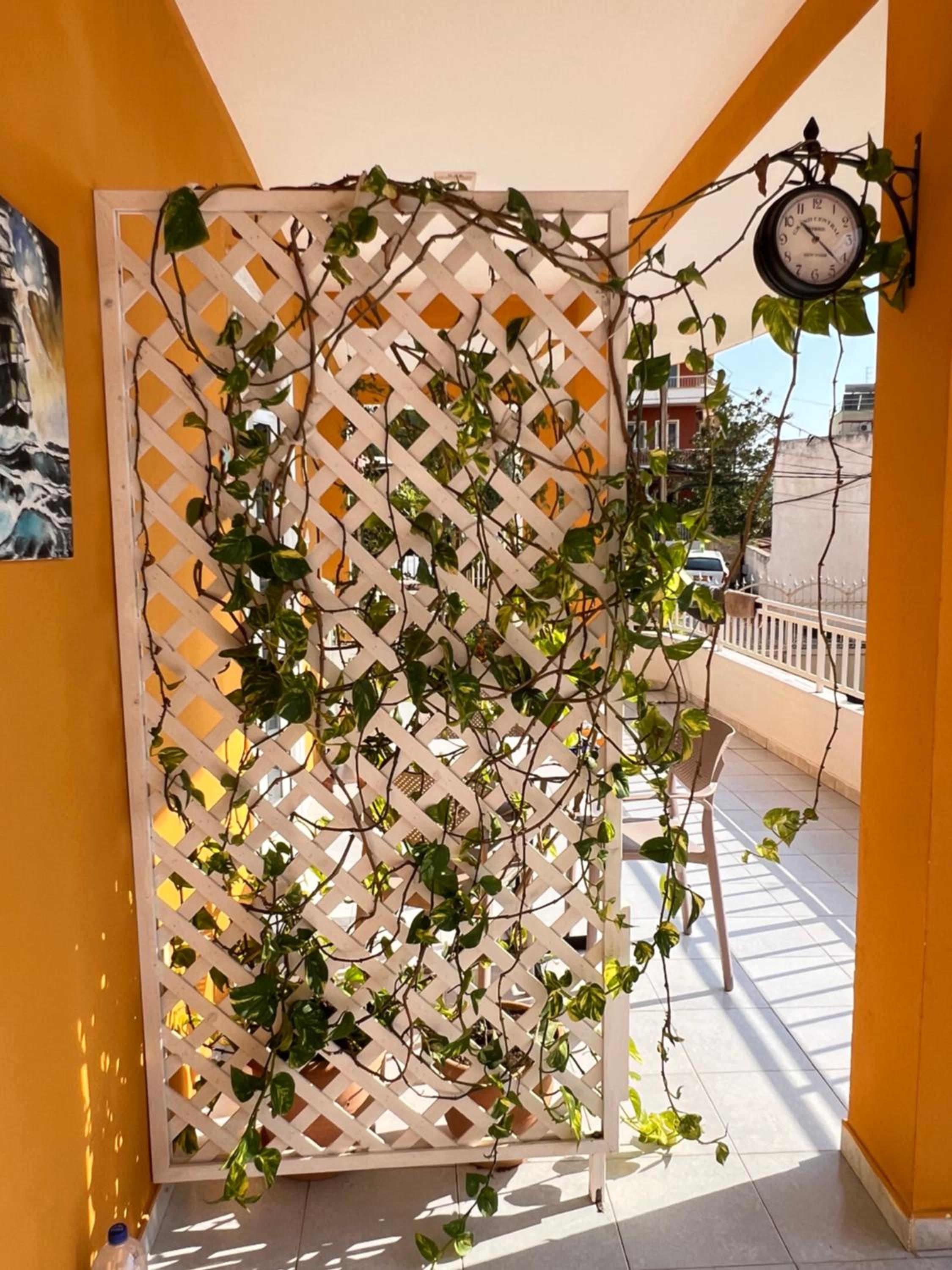 Mimi's Apartments