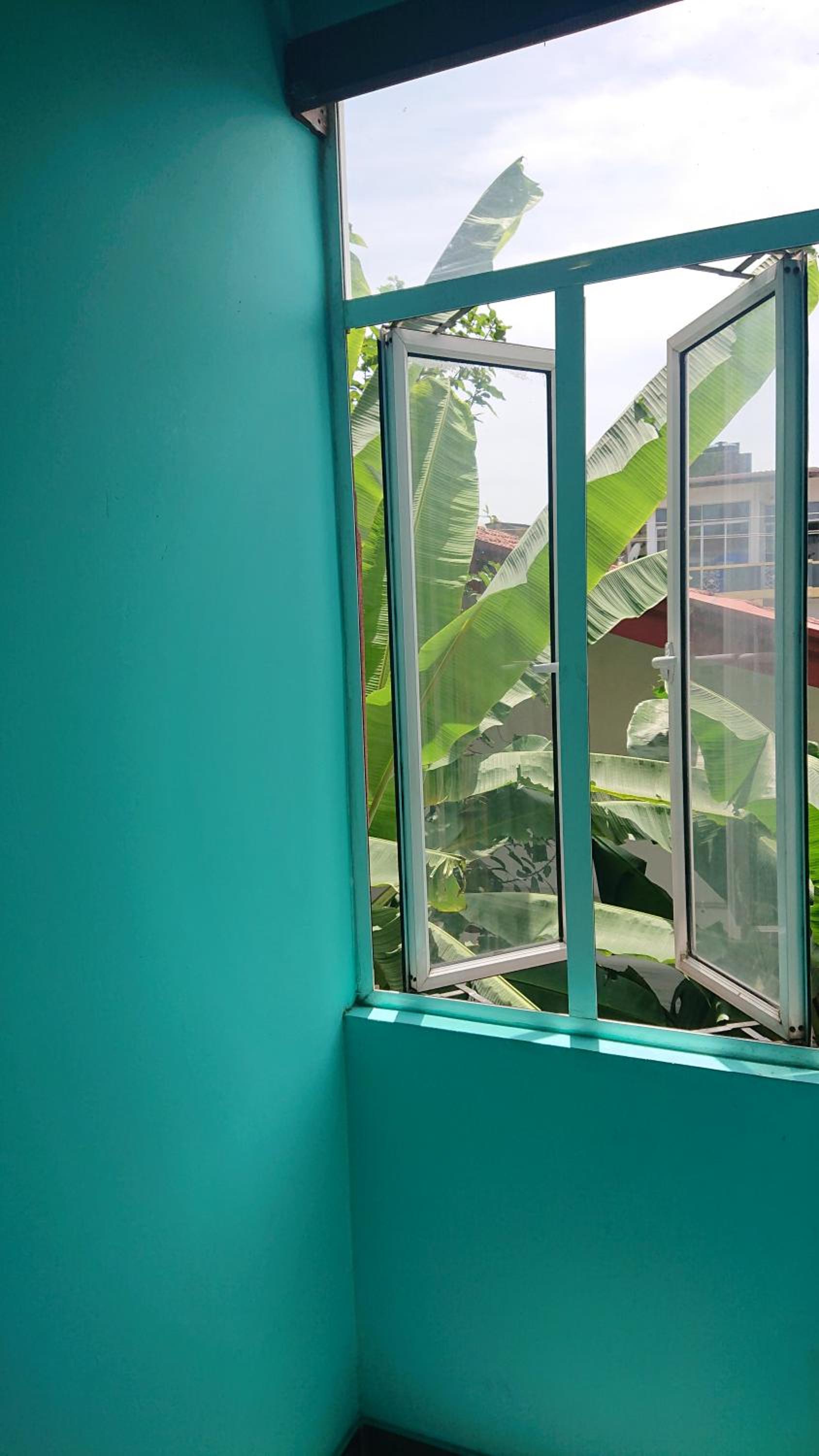 CANAAN MUSIC Hotel view 5