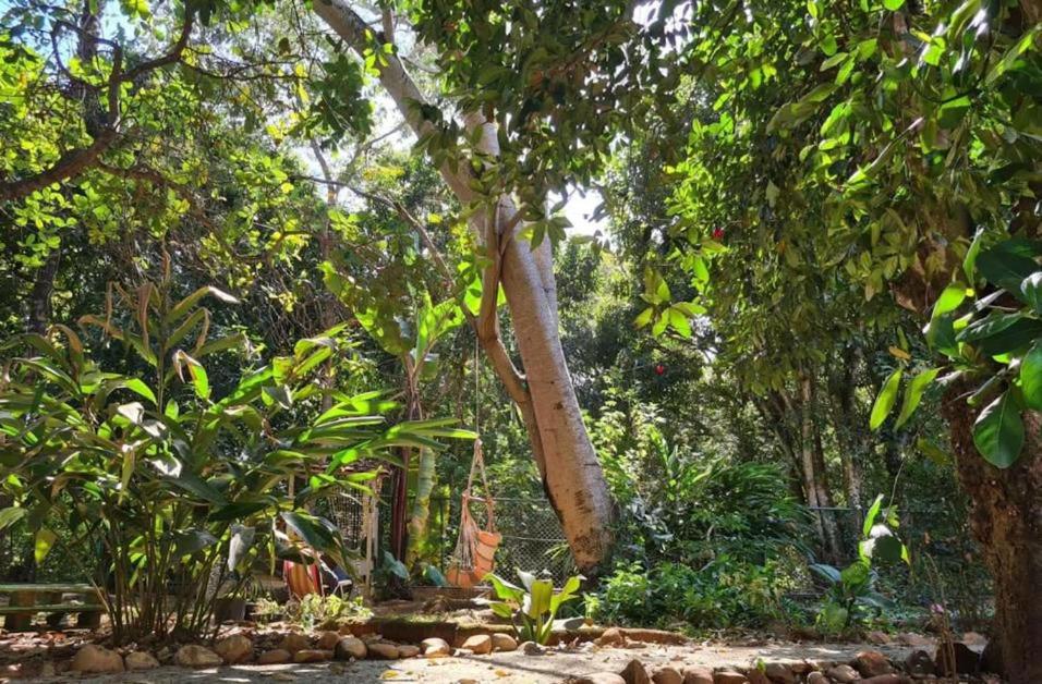 Hostel e Camping Secreto Cerrado Povoado do Moinho Acesso a rios sem custo