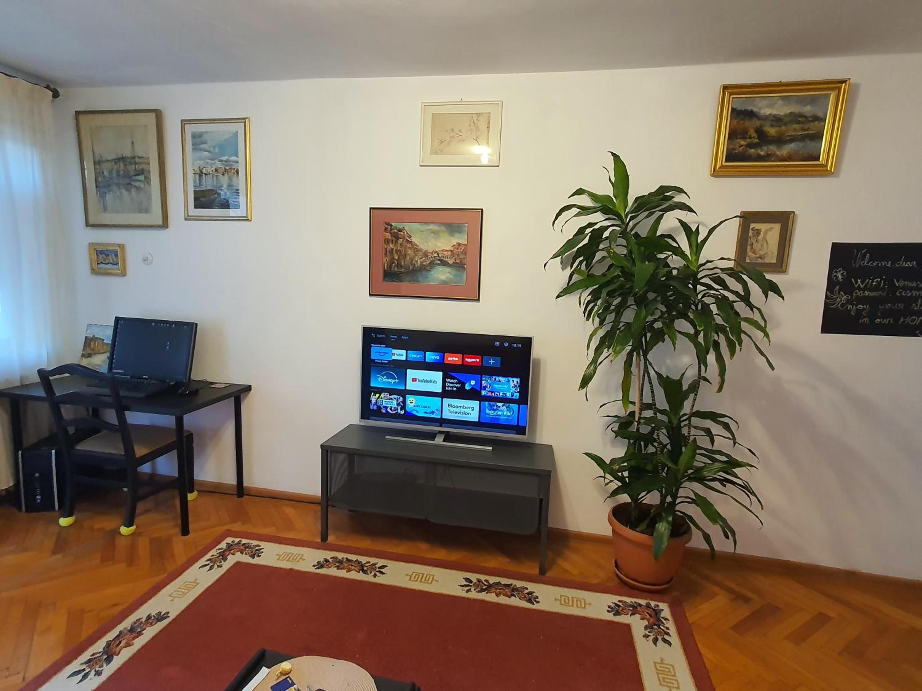 Cismigiu Home view 2