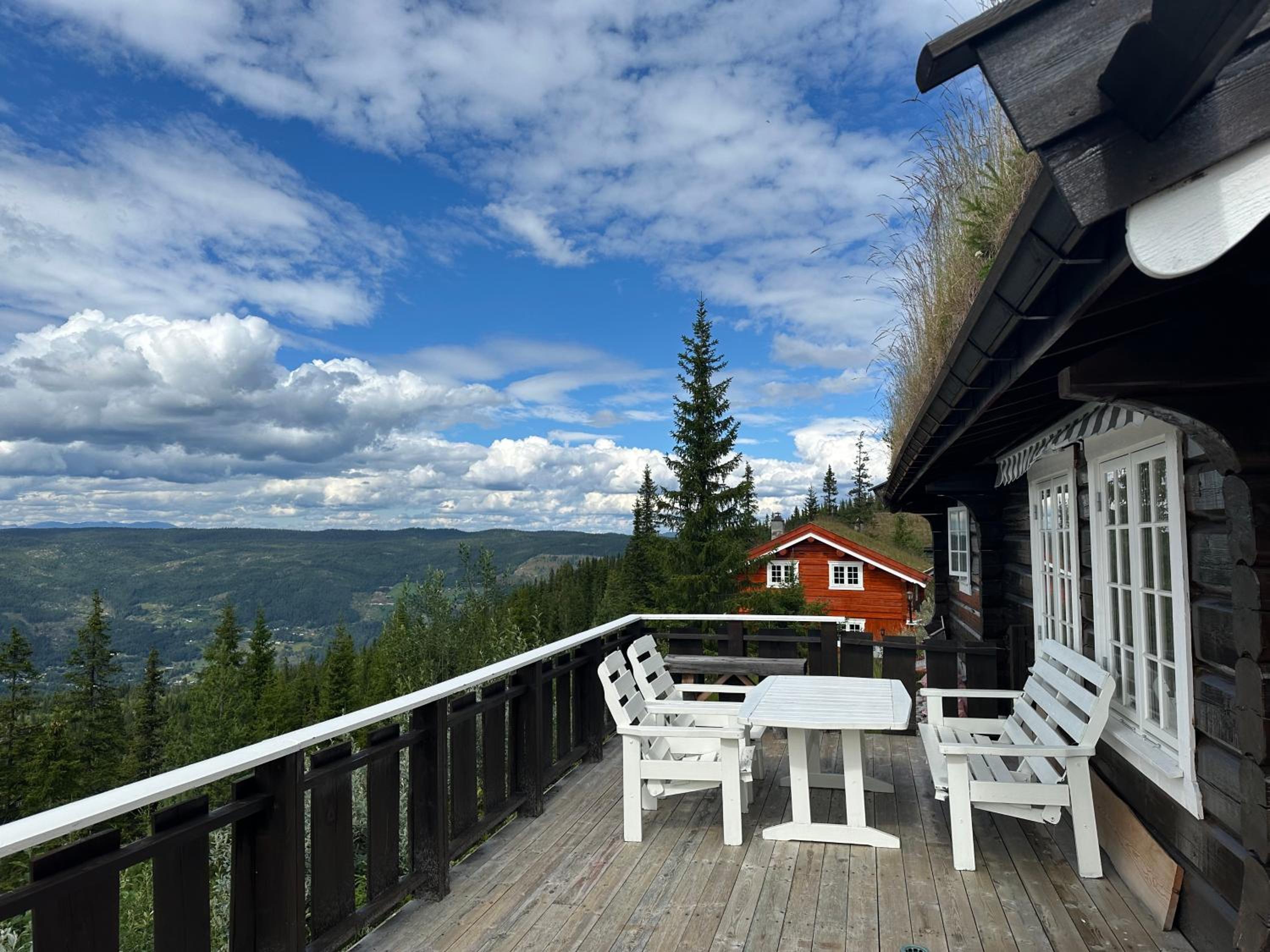 Laftehytte med torvtak view 2