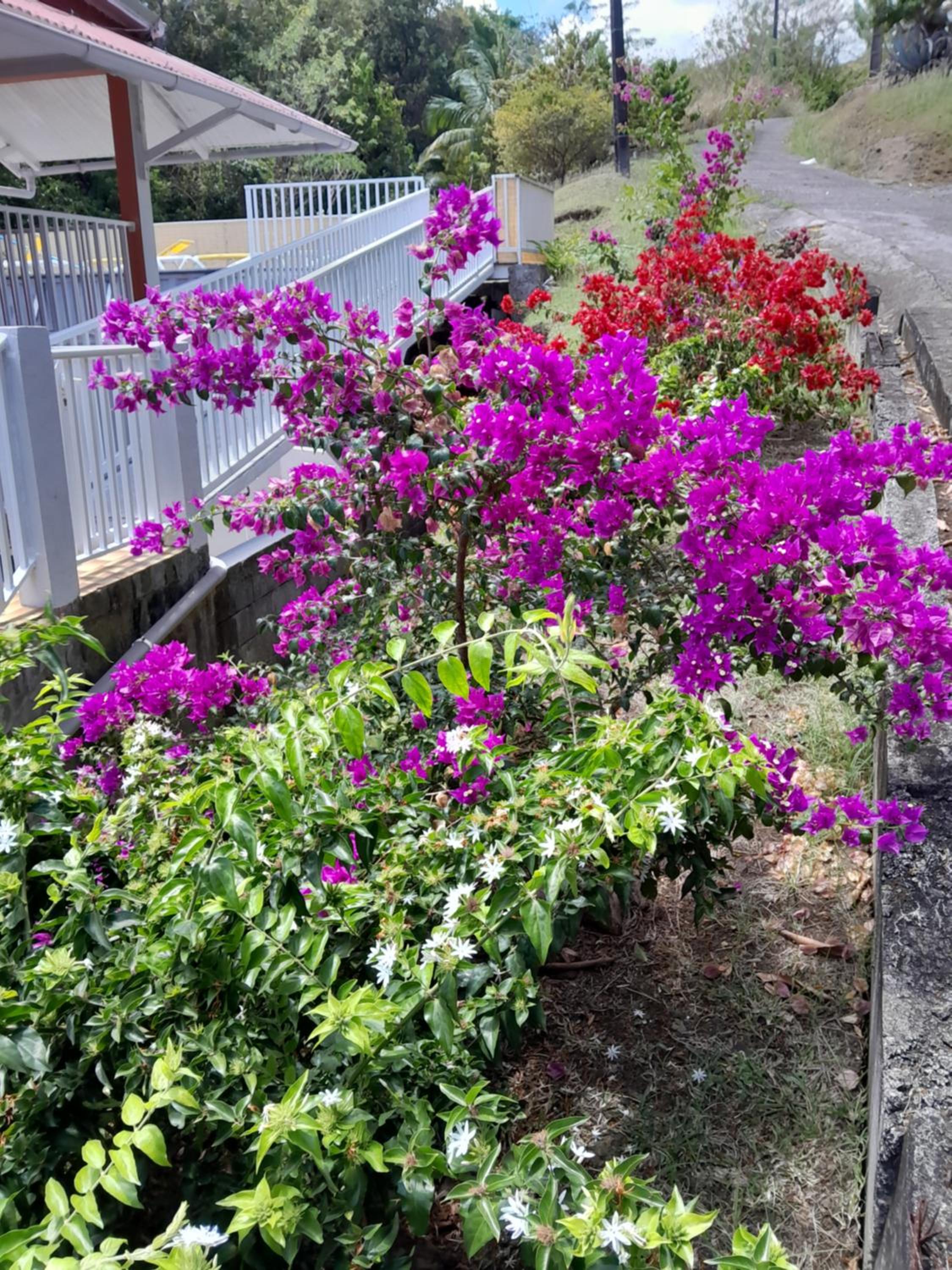 Photo 21