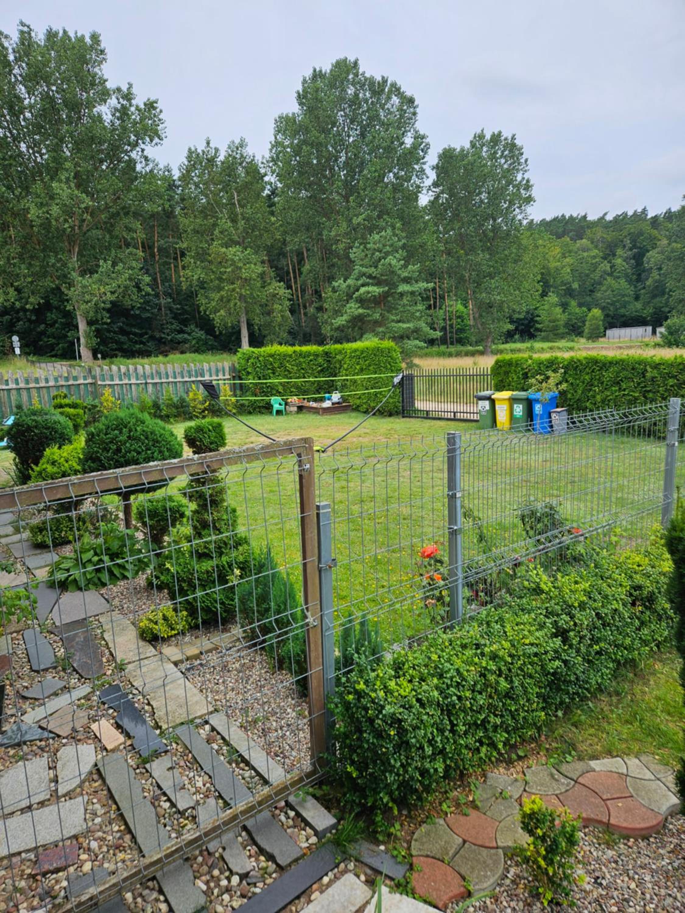 Photo 44