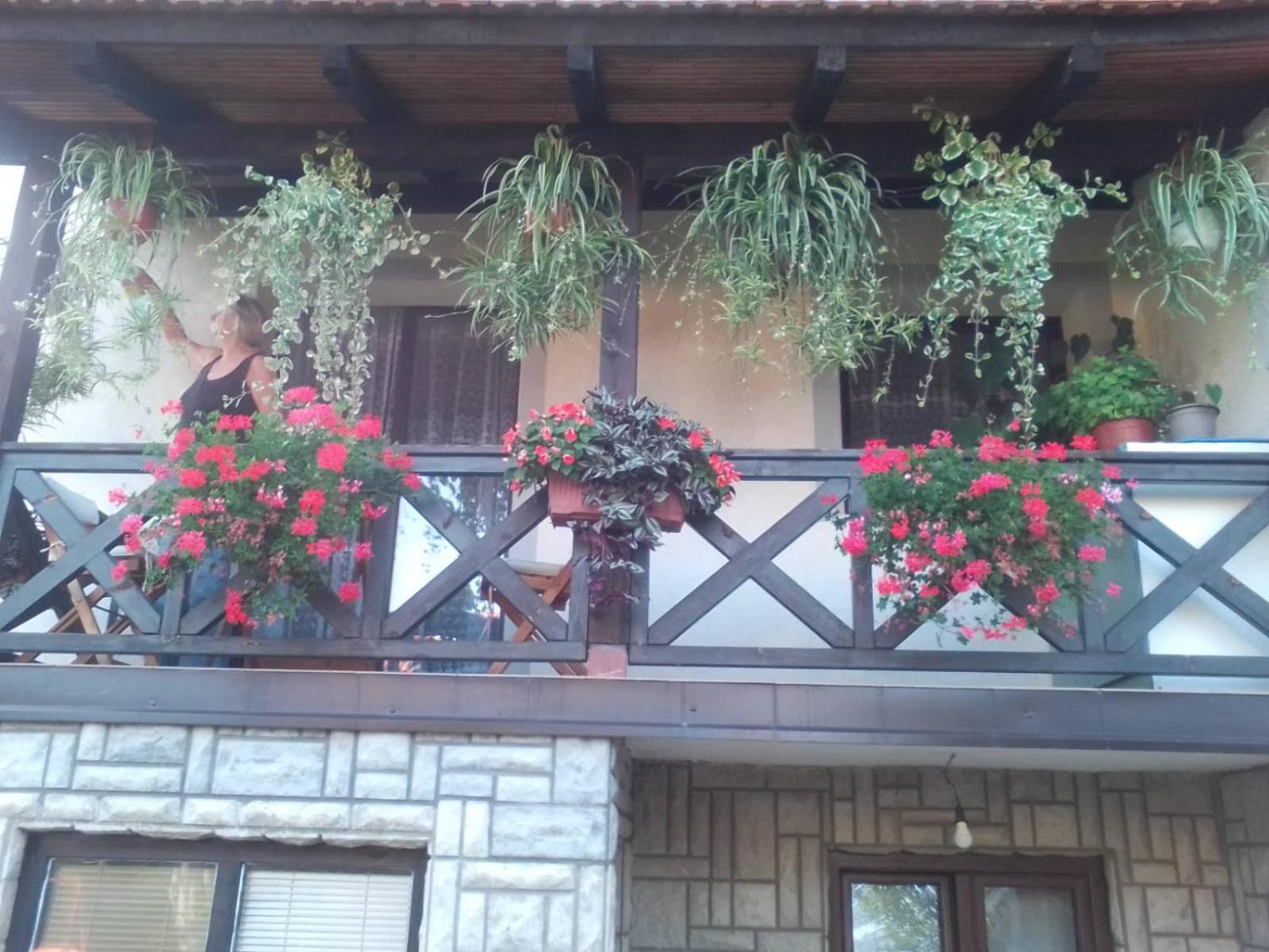 Privatni Smeštaj Tešević view 3