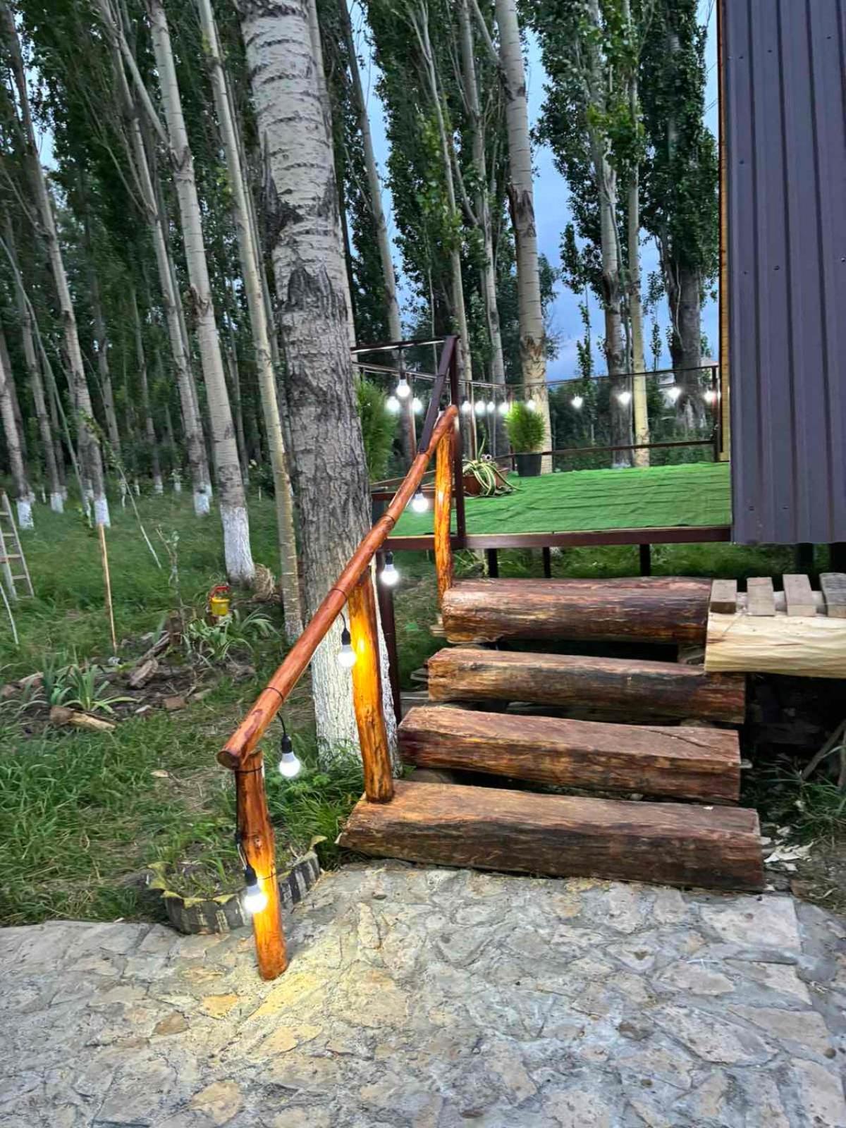 Edem A Frame Zovaber