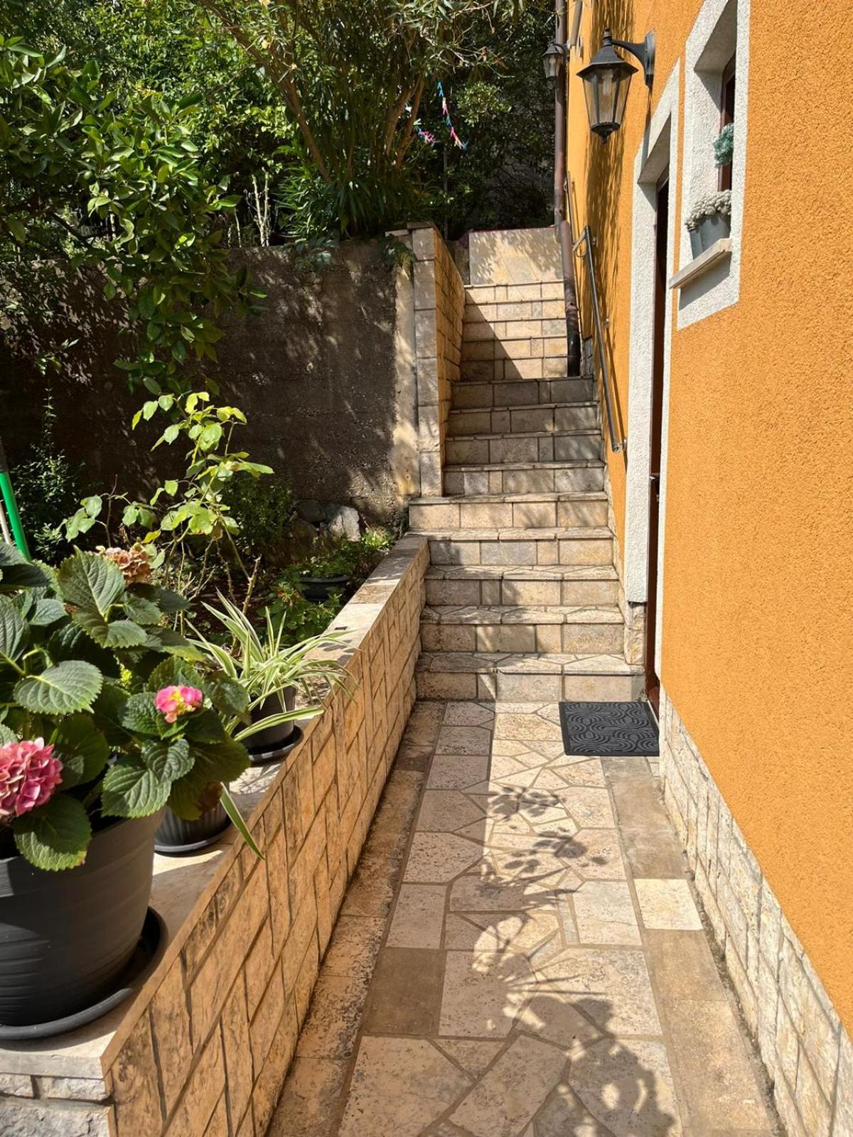 Apartman Petrić