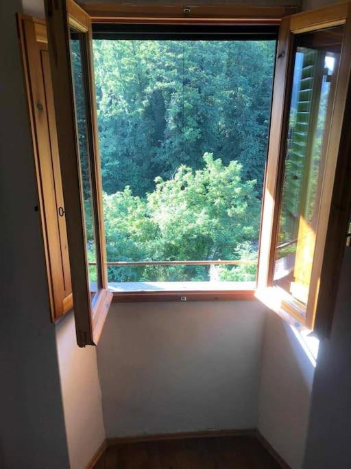 Apartment in Castel San Niccolò view 3