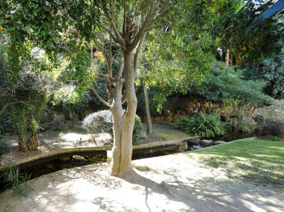 Luxury Apartment In Central Marbella with Parking and Pool