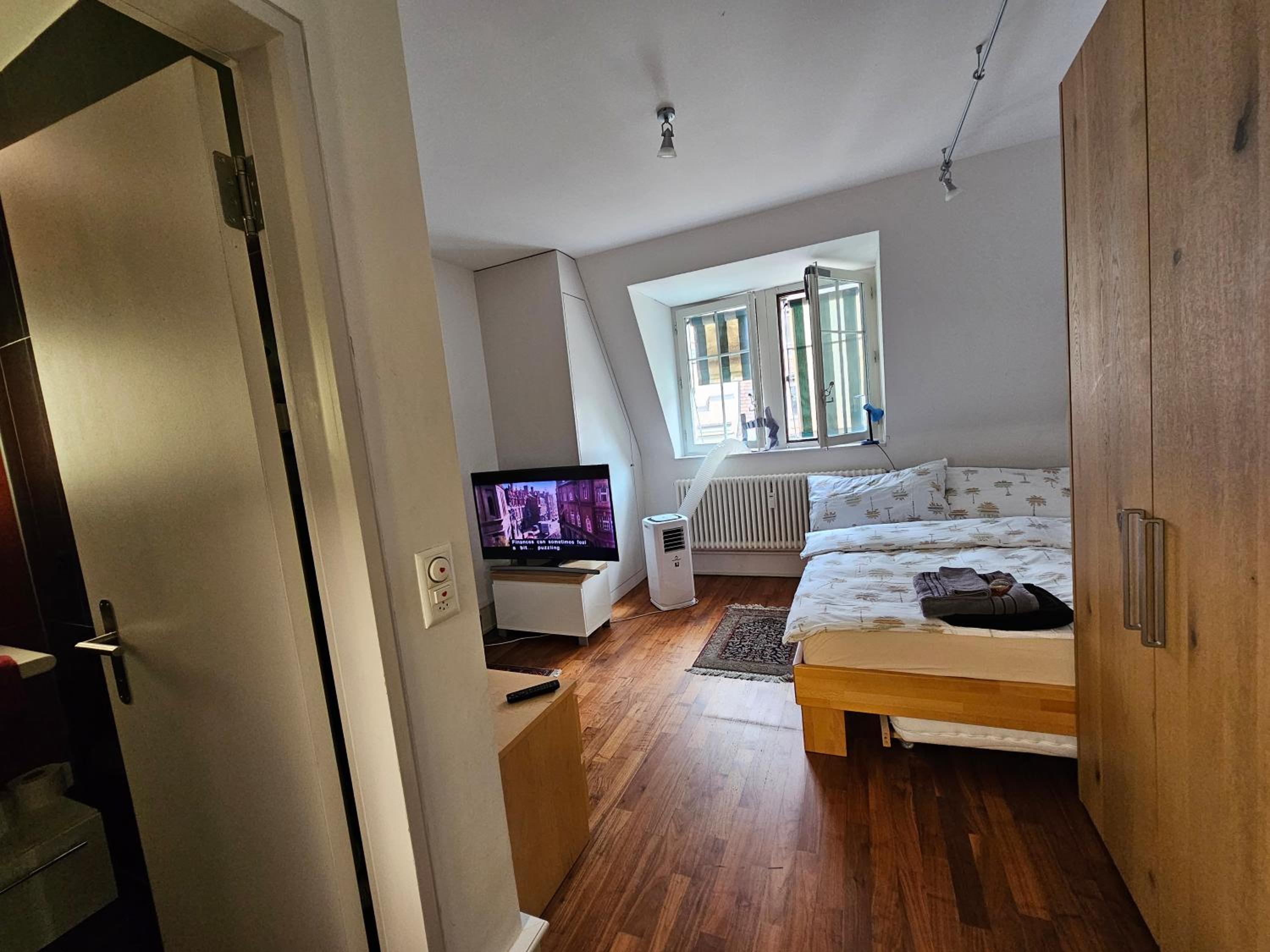 Apartment Studio Center of Bern & Up to 7 Seats Cars Rental Option