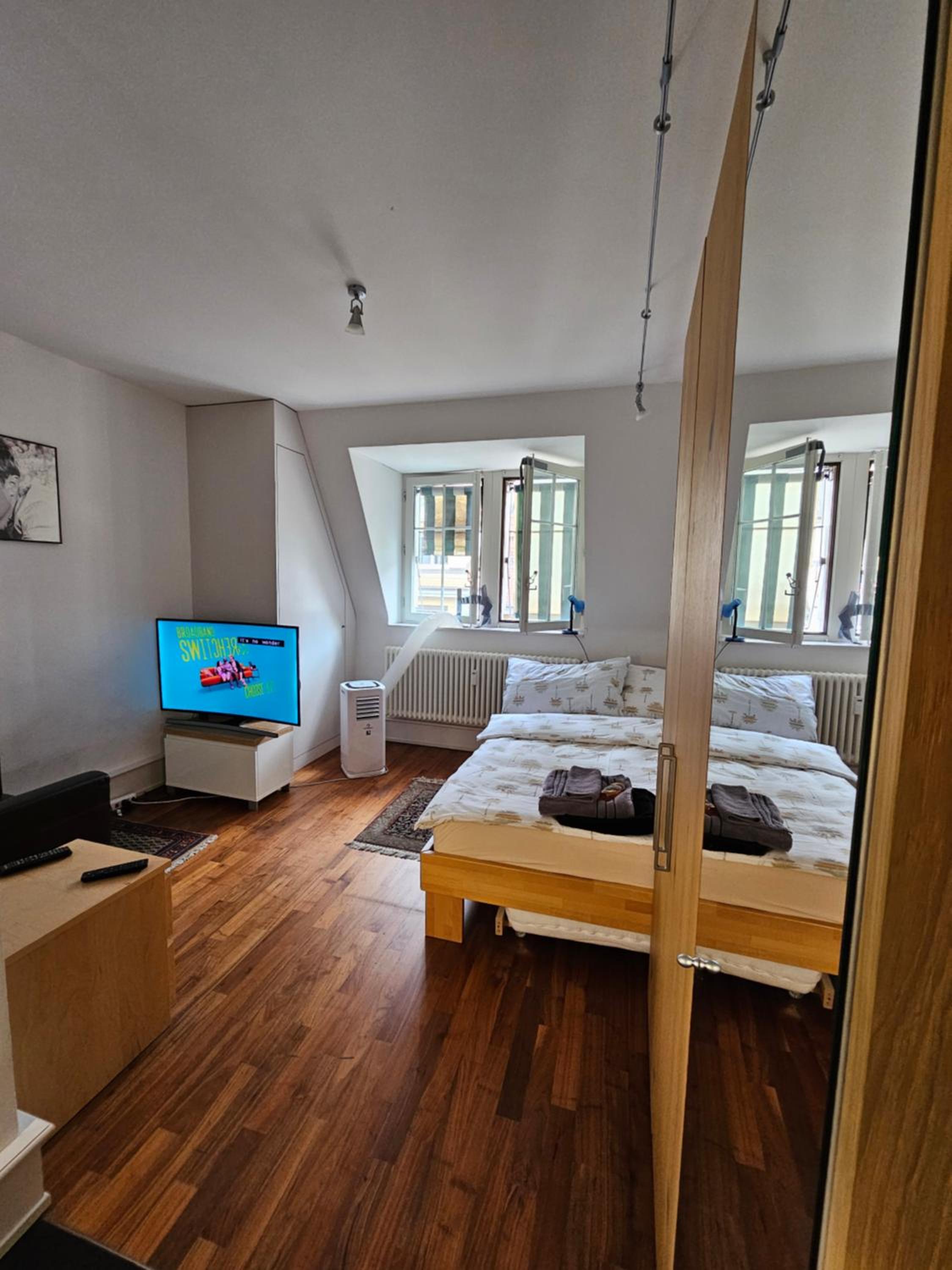 Apartment Studio Center of Bern & Up to 7 Seats Cars Rental Option