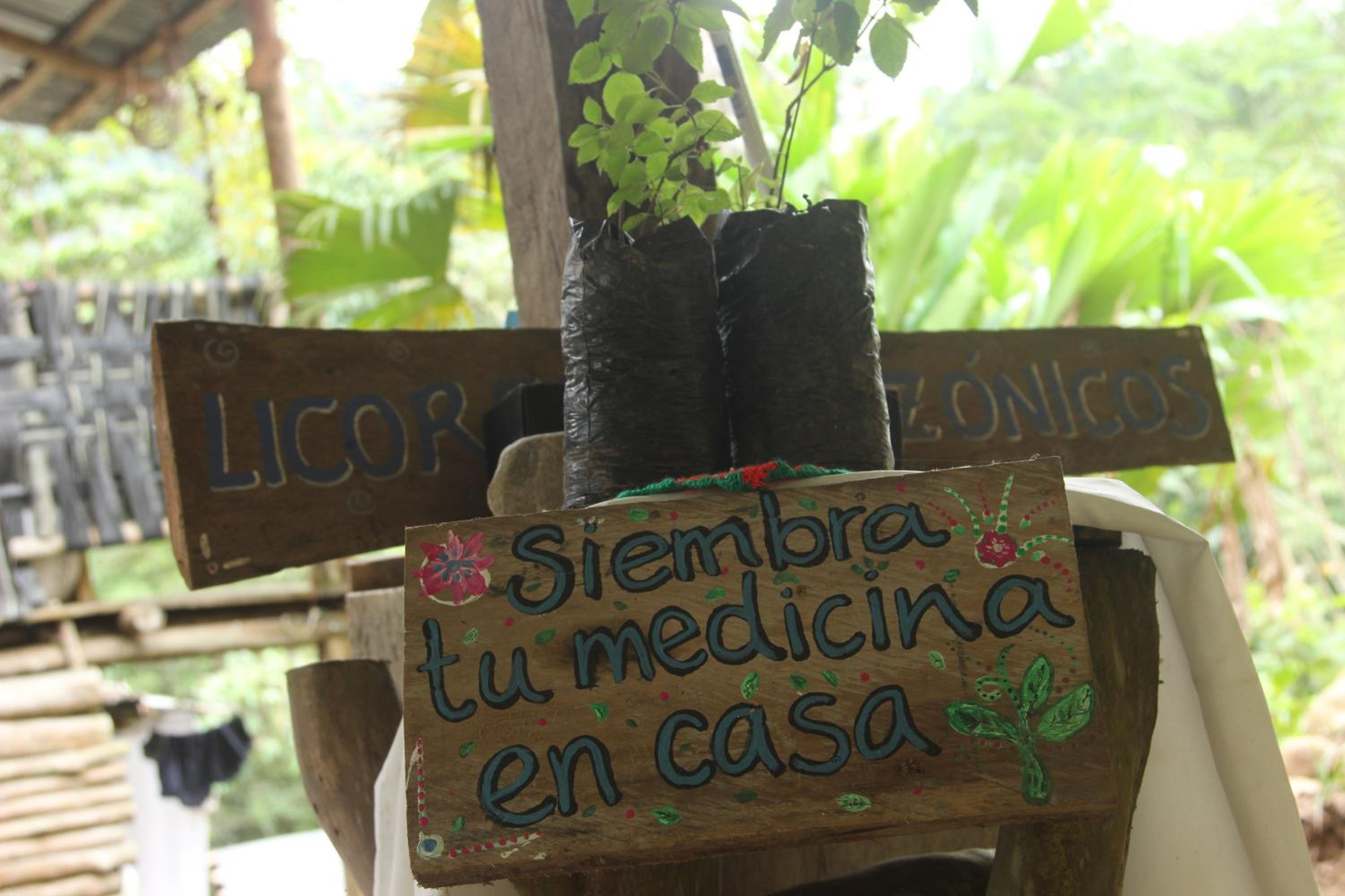 Photo 46