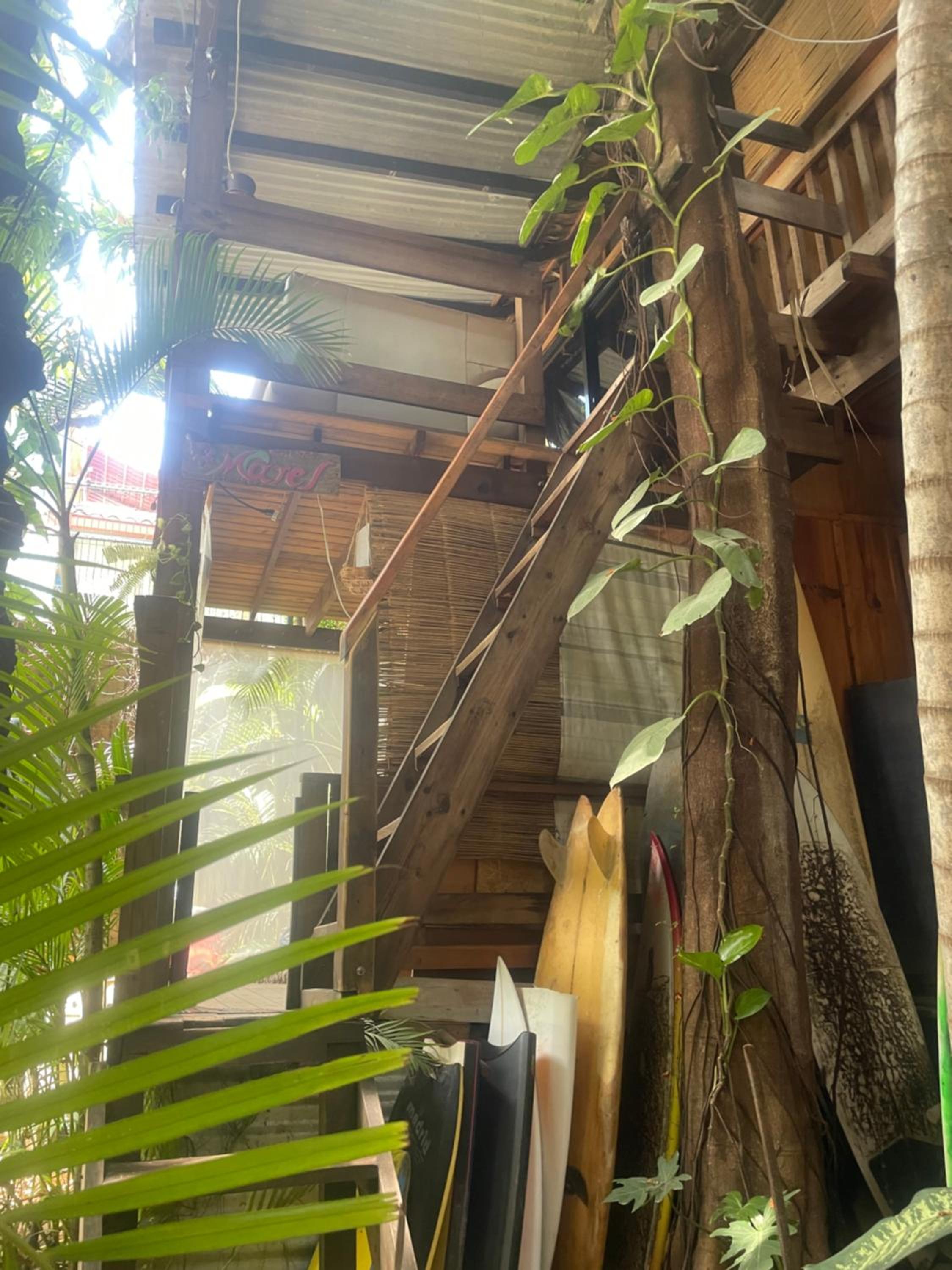 La Punta Surf House -Tree House Starlink view 5