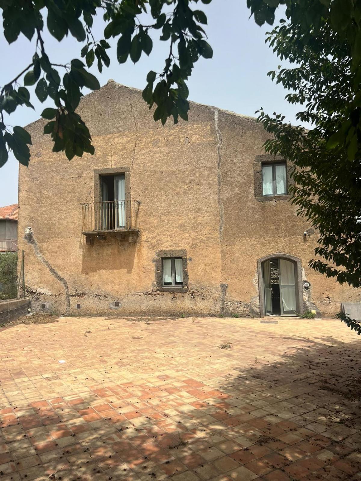 La vigna di Maggi