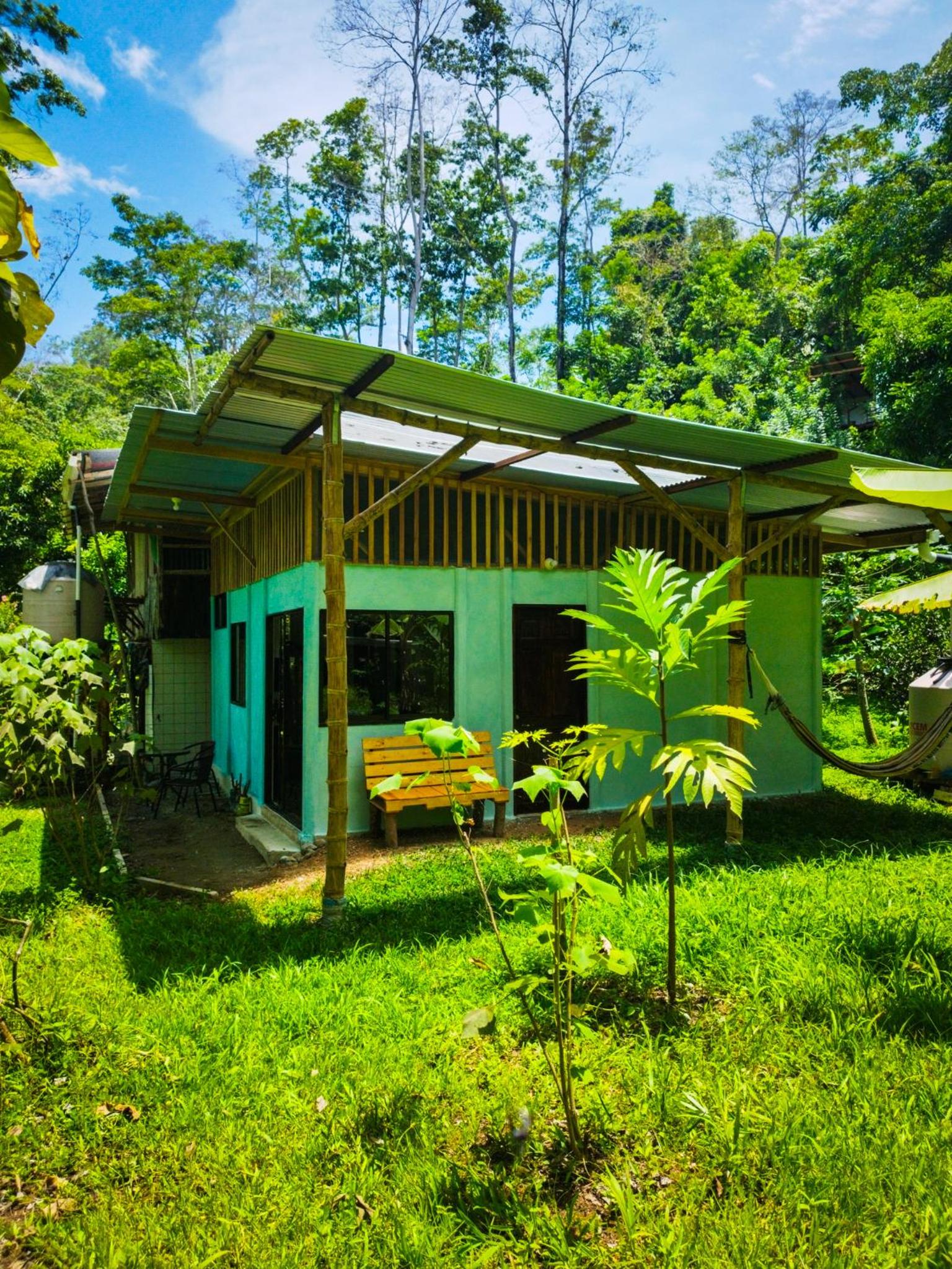 Jungle house