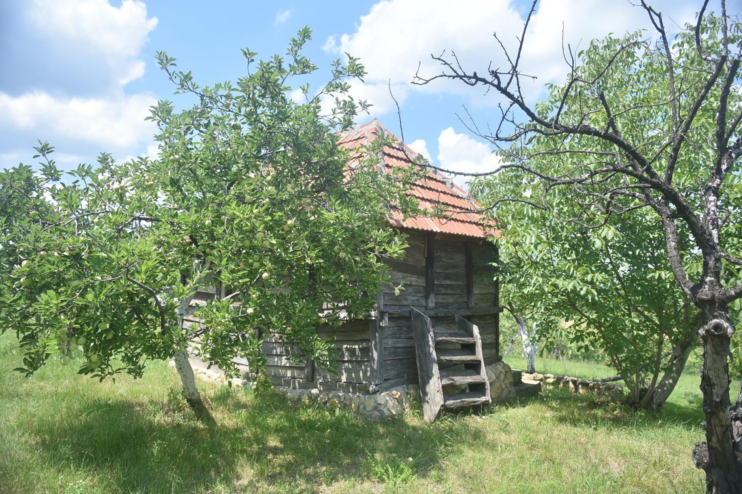 Domacinstvo Jelkici