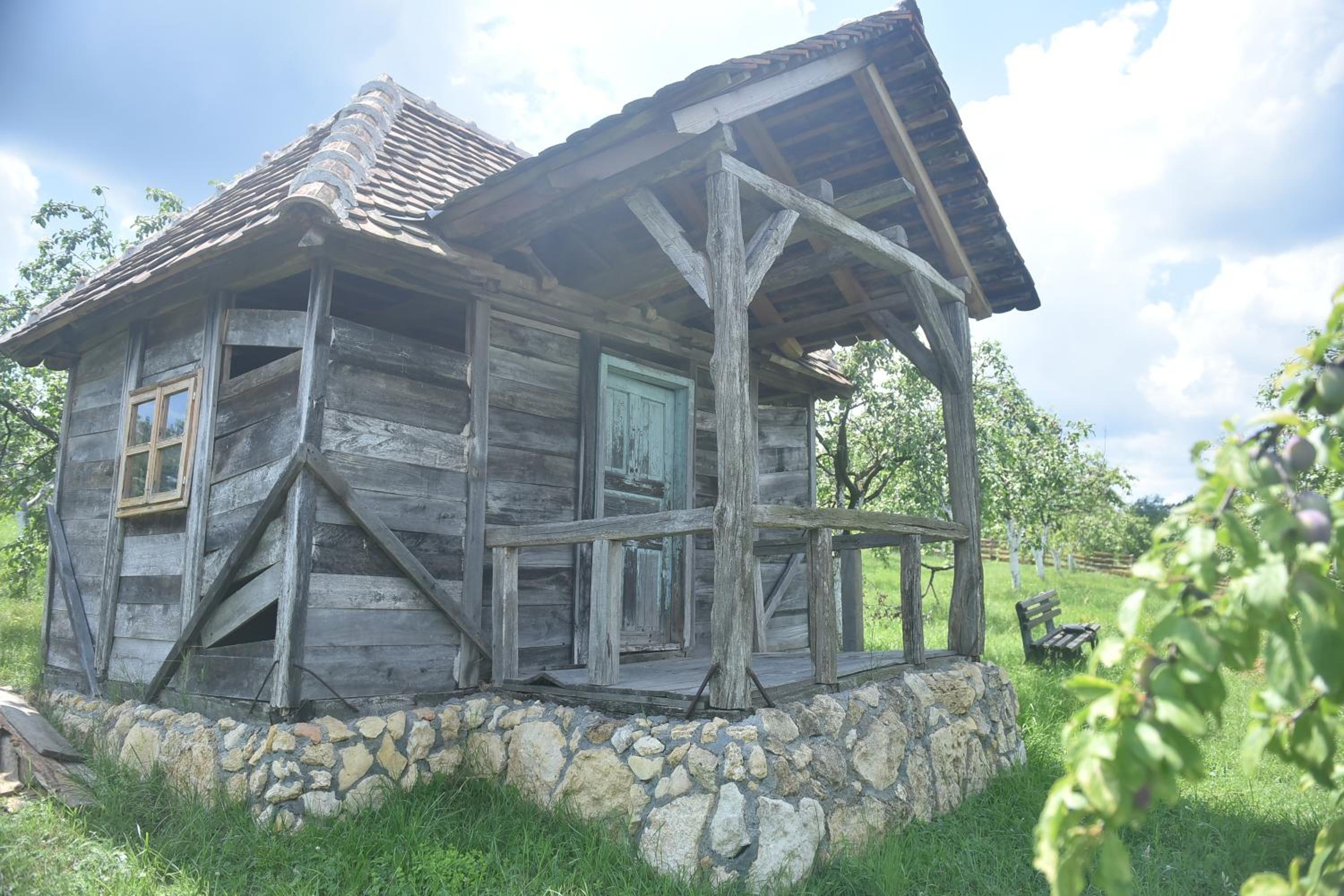 Domacinstvo Jelkici