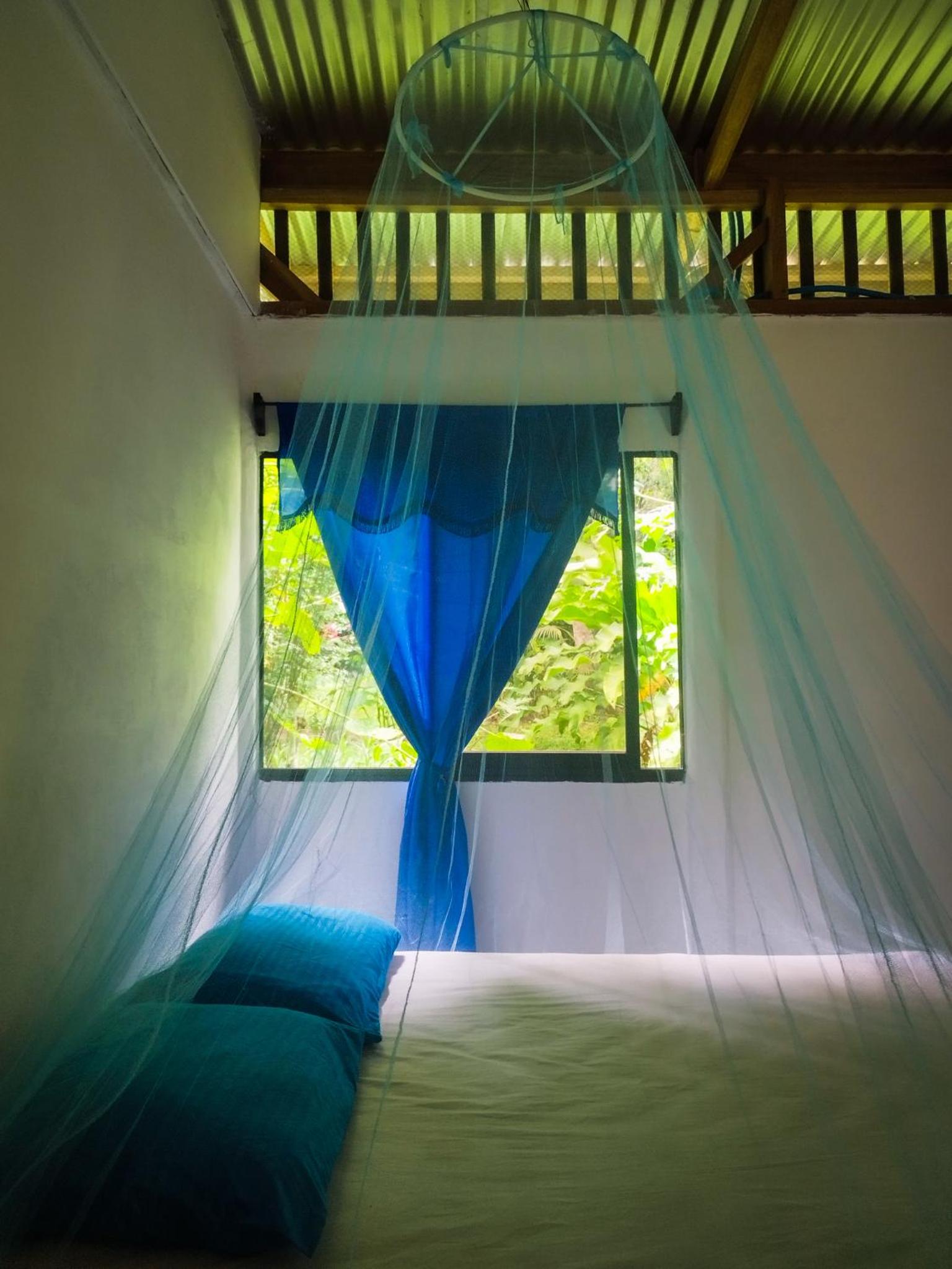 Jungle house