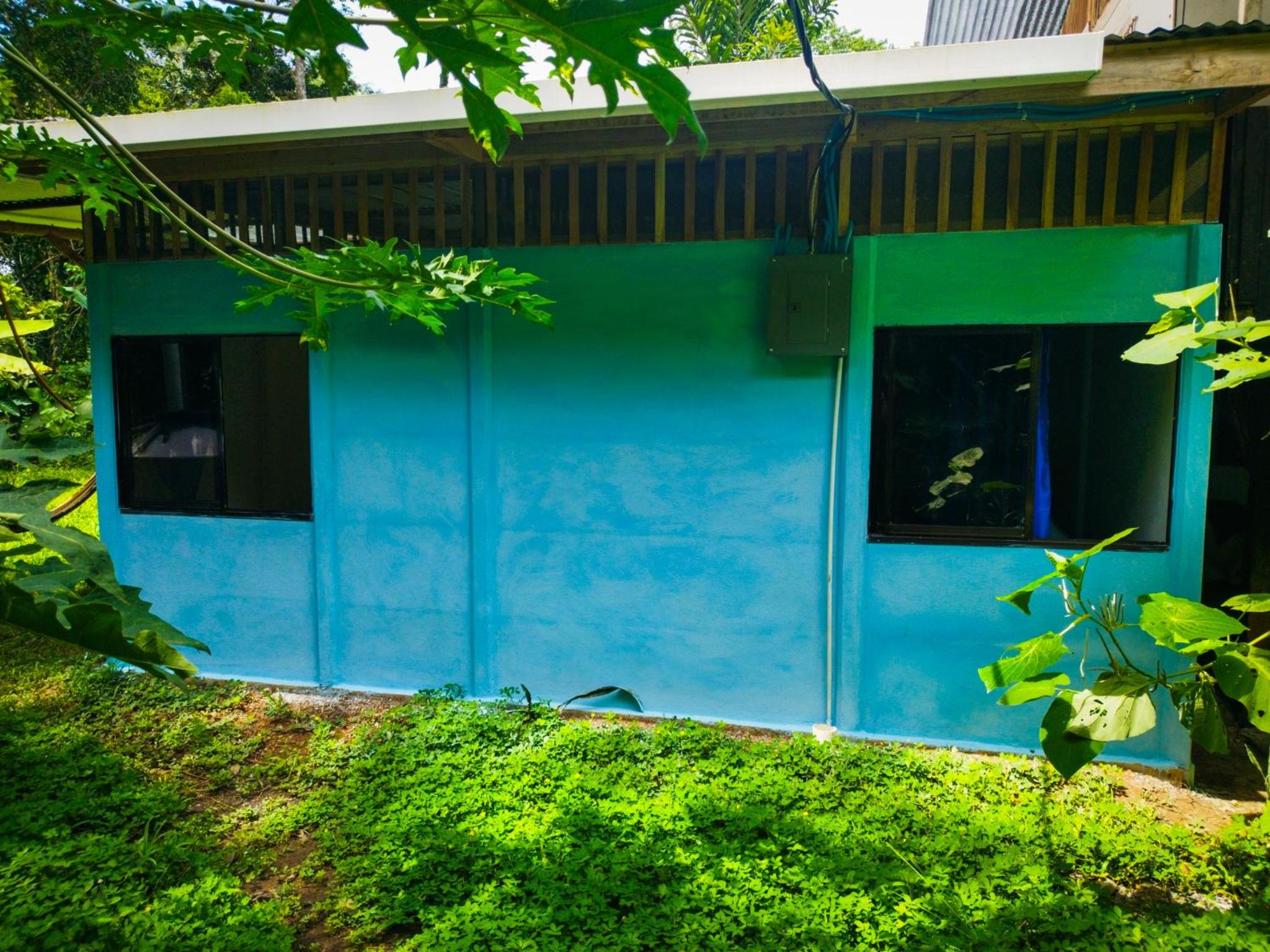 Jungle house