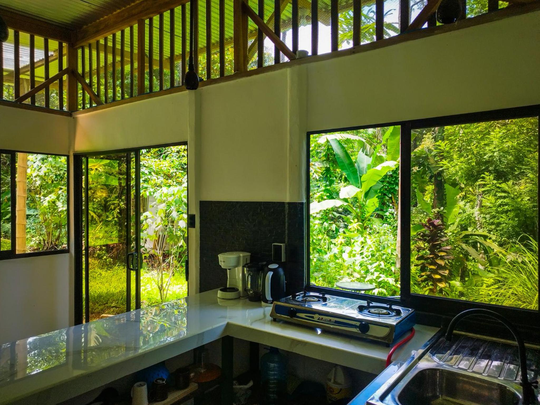 Jungle house
