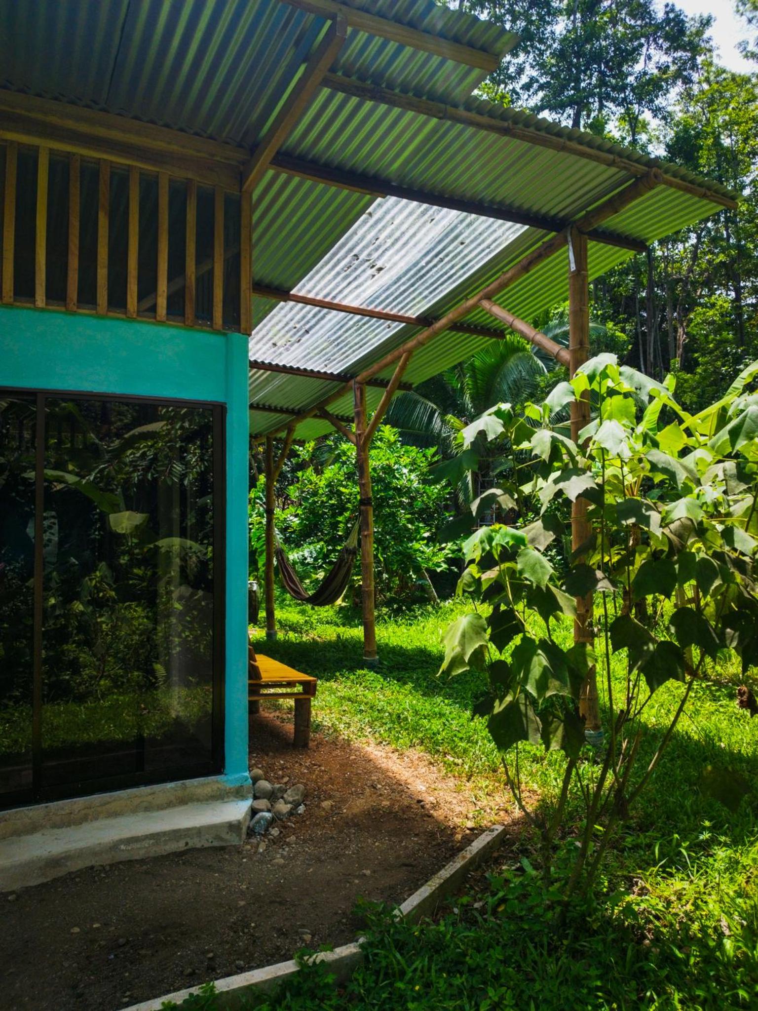 Jungle house