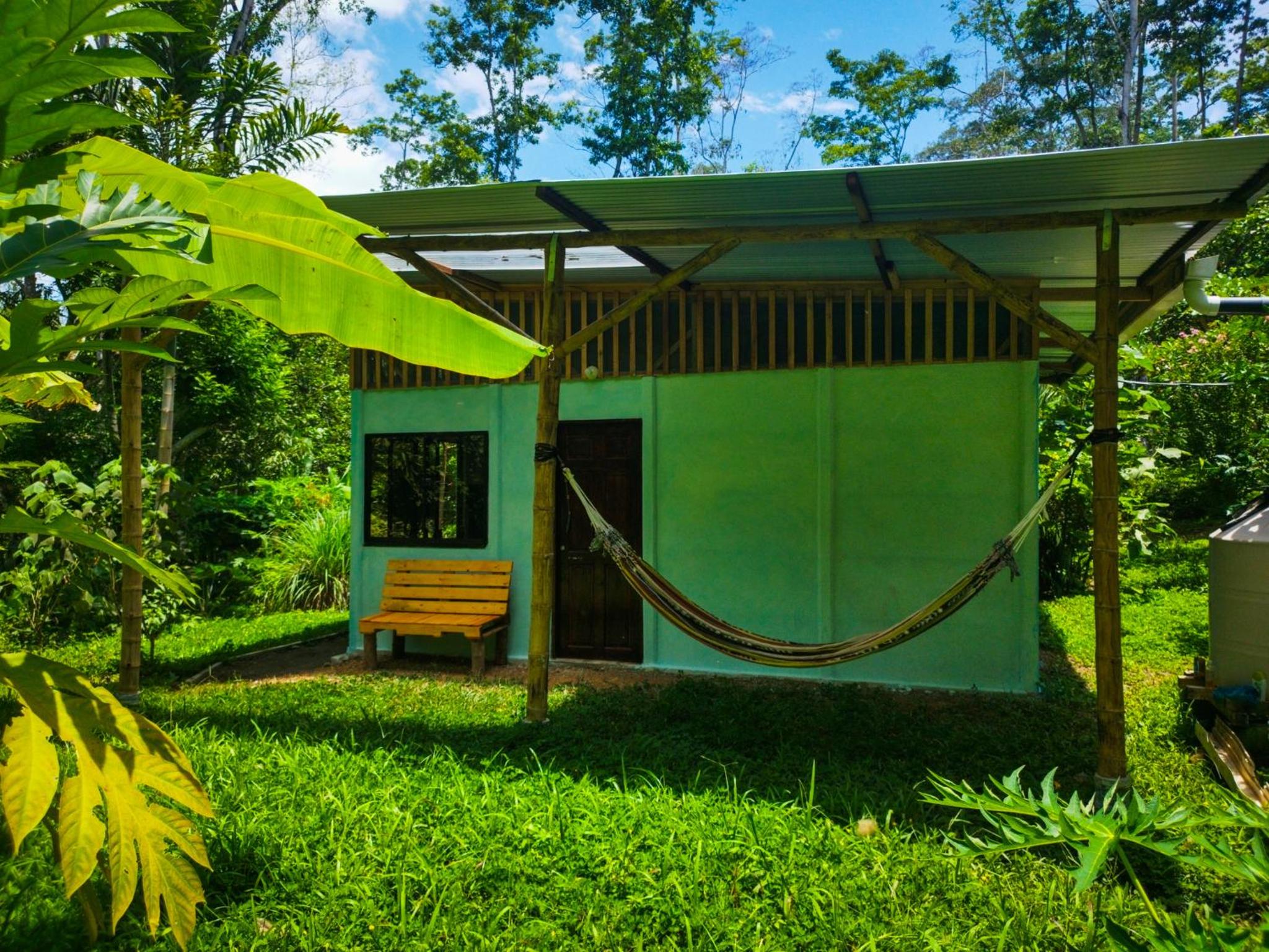 Jungle house