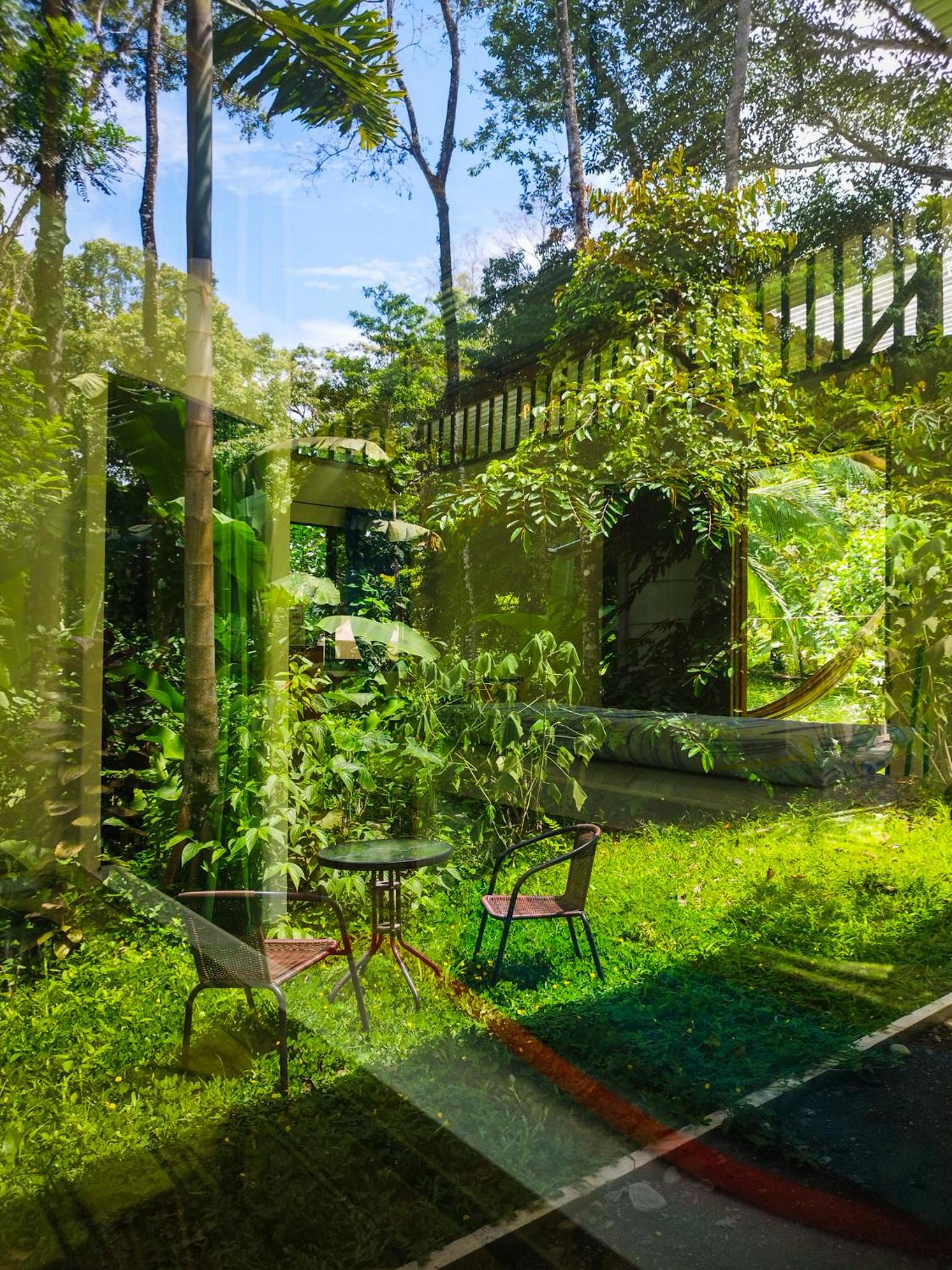 Jungle house