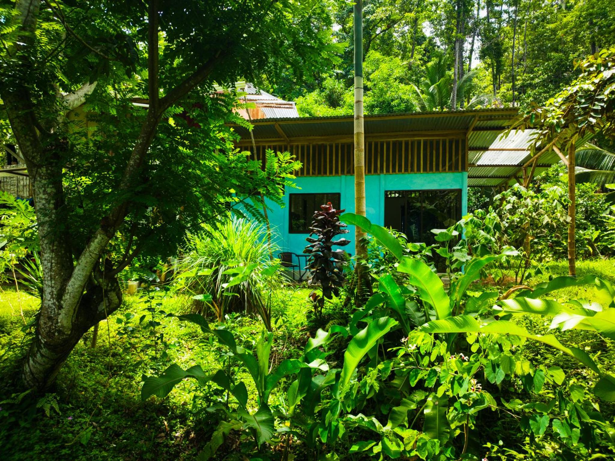 Jungle house