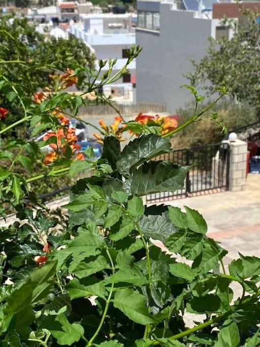 Photo 41