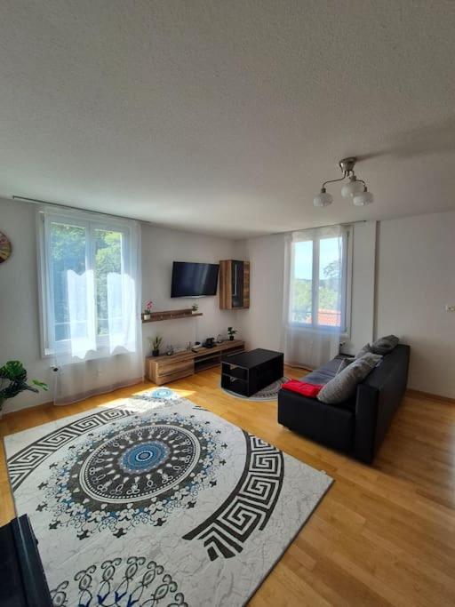 Helle Wohnung über St Gallen
