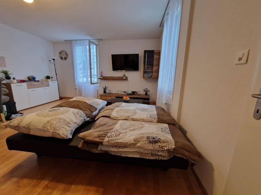 Helle Wohnung über St Gallen